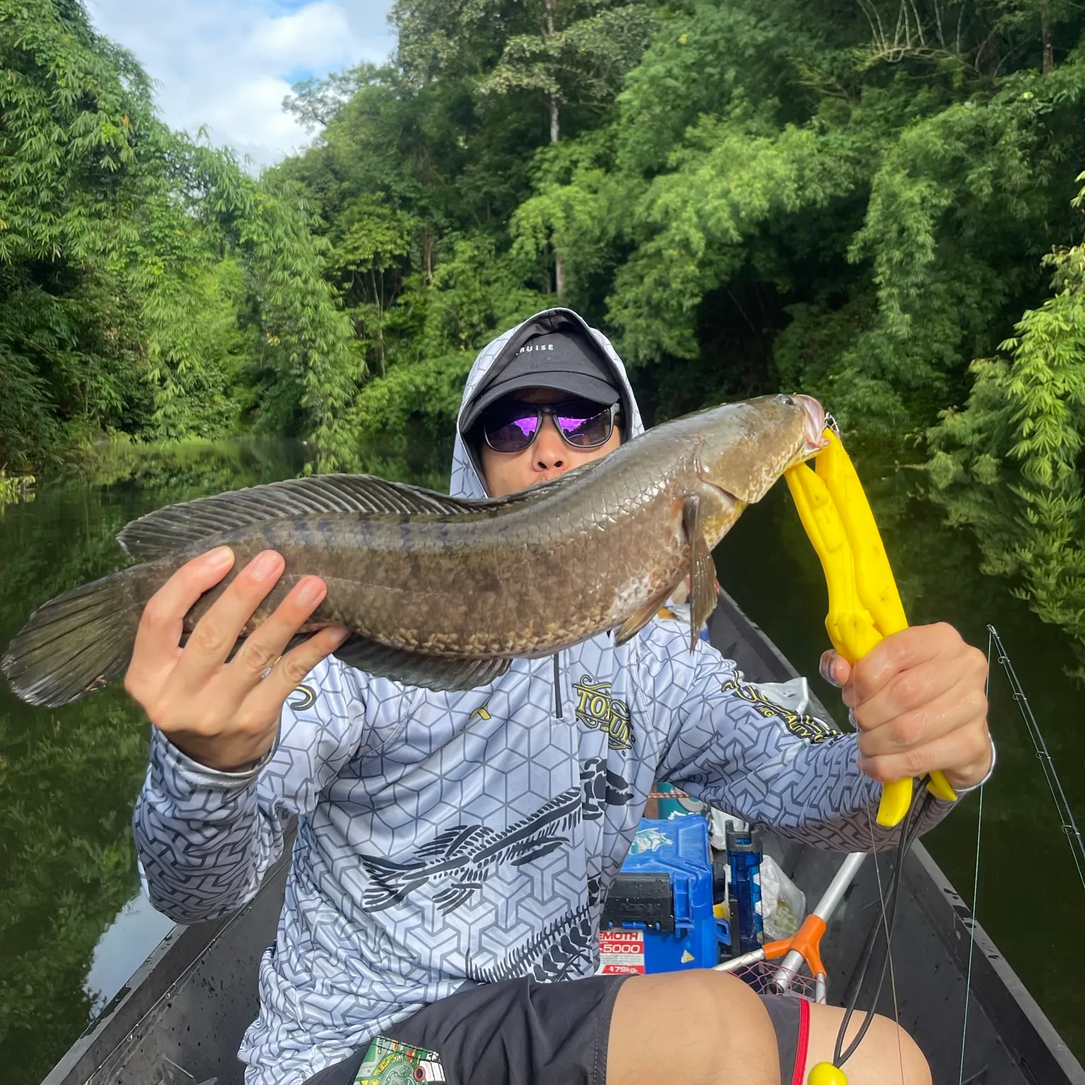 The most recent Striped snakehead catches on Fishbrain