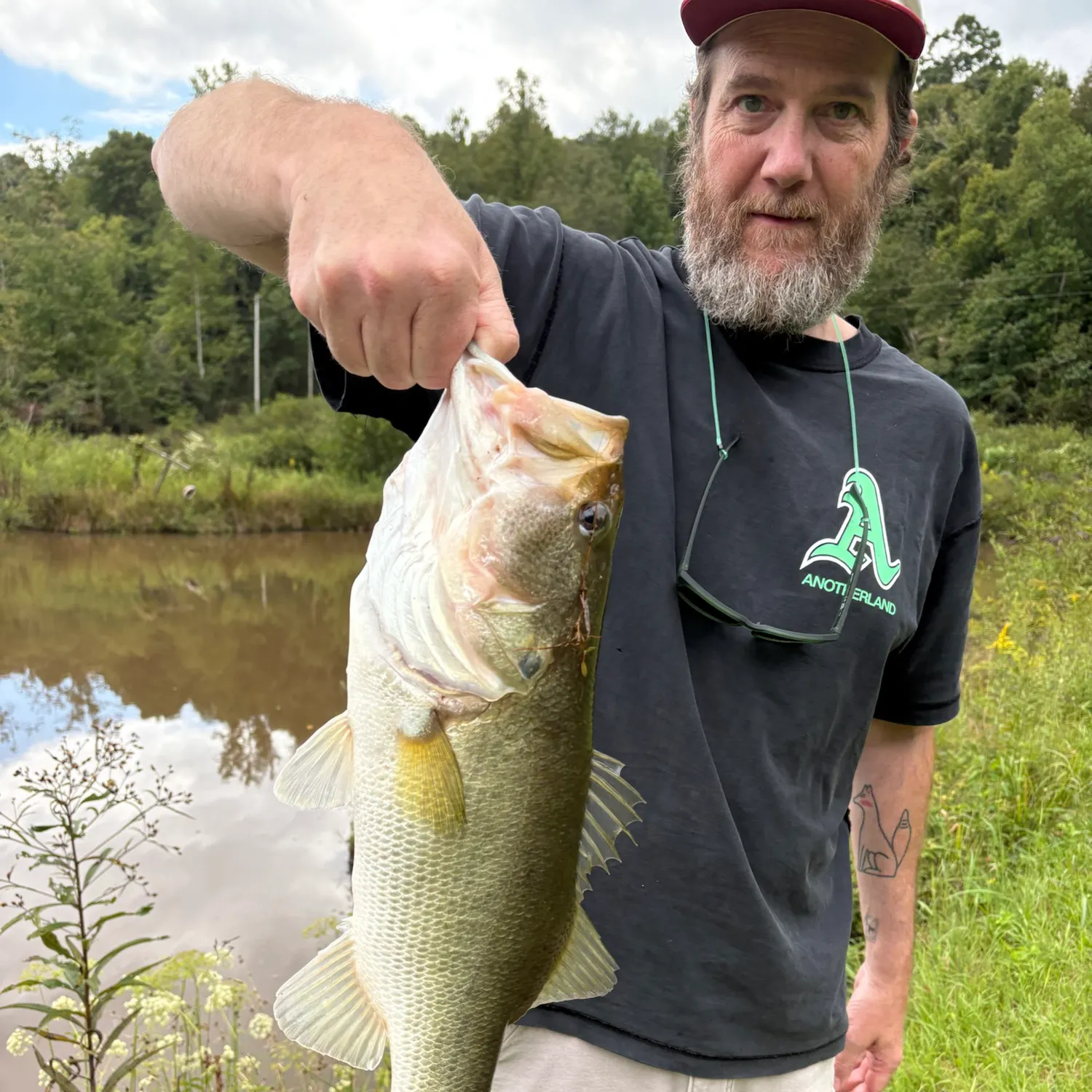 Largemouth bass caught on Fishbrain