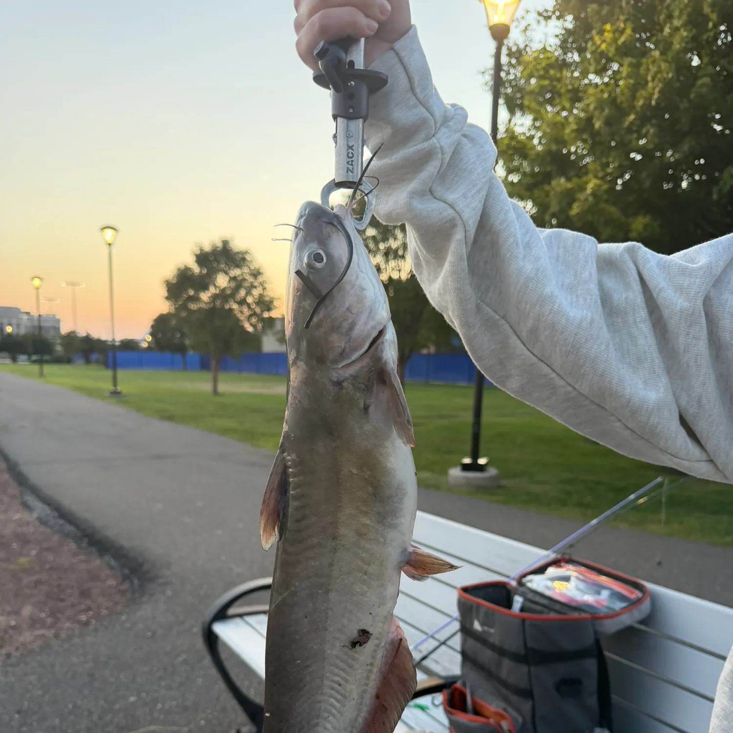 catch