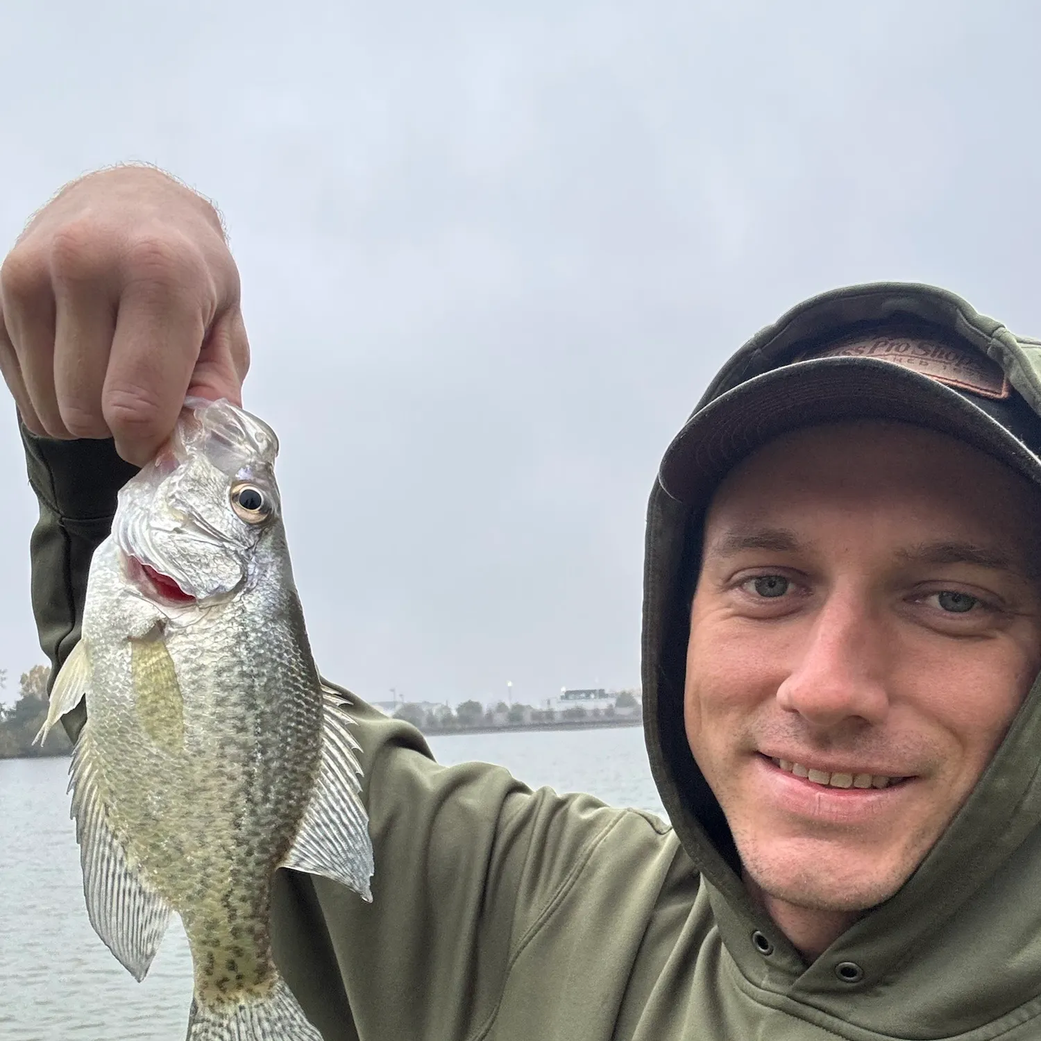 White crappie caught on Fishbrain