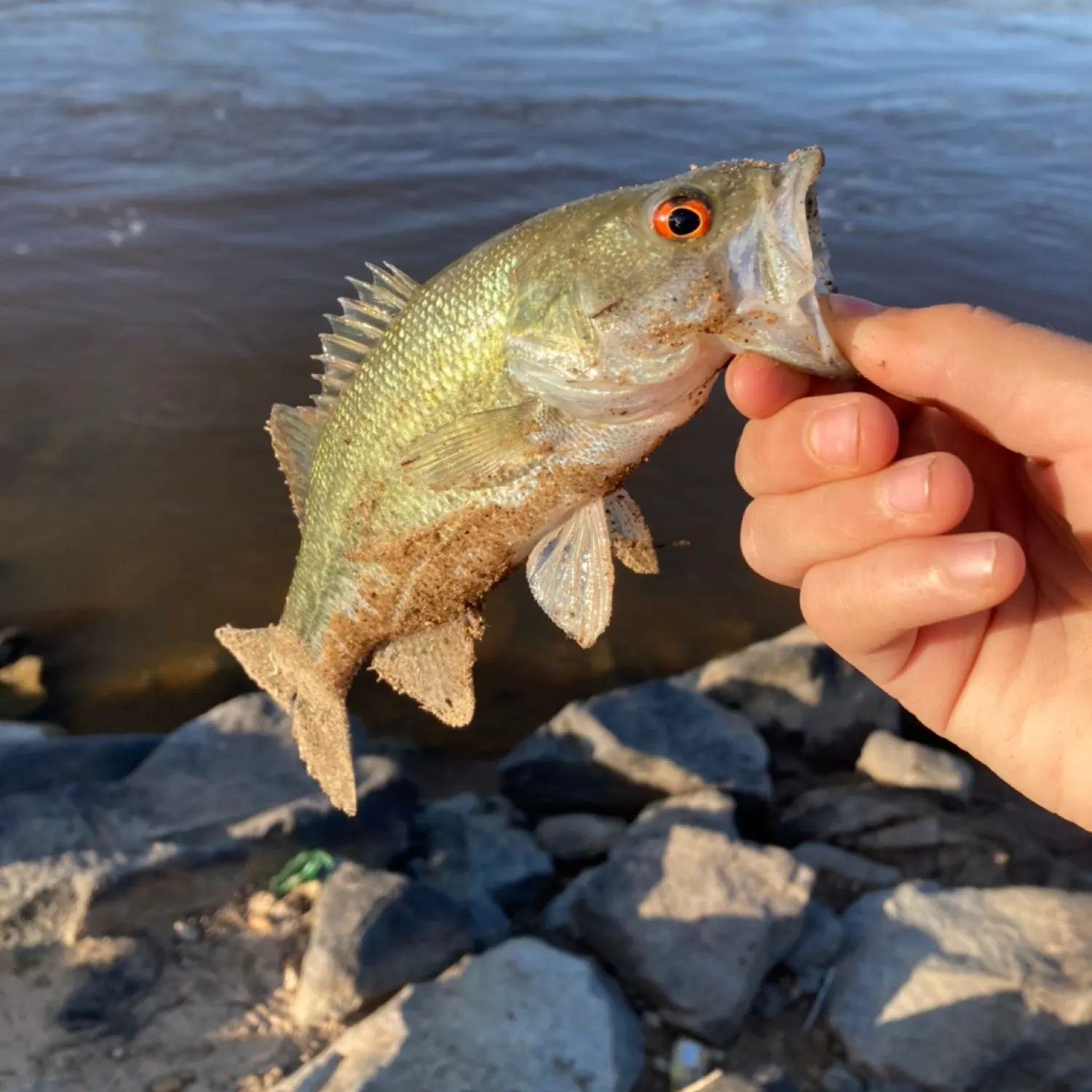 angler catch