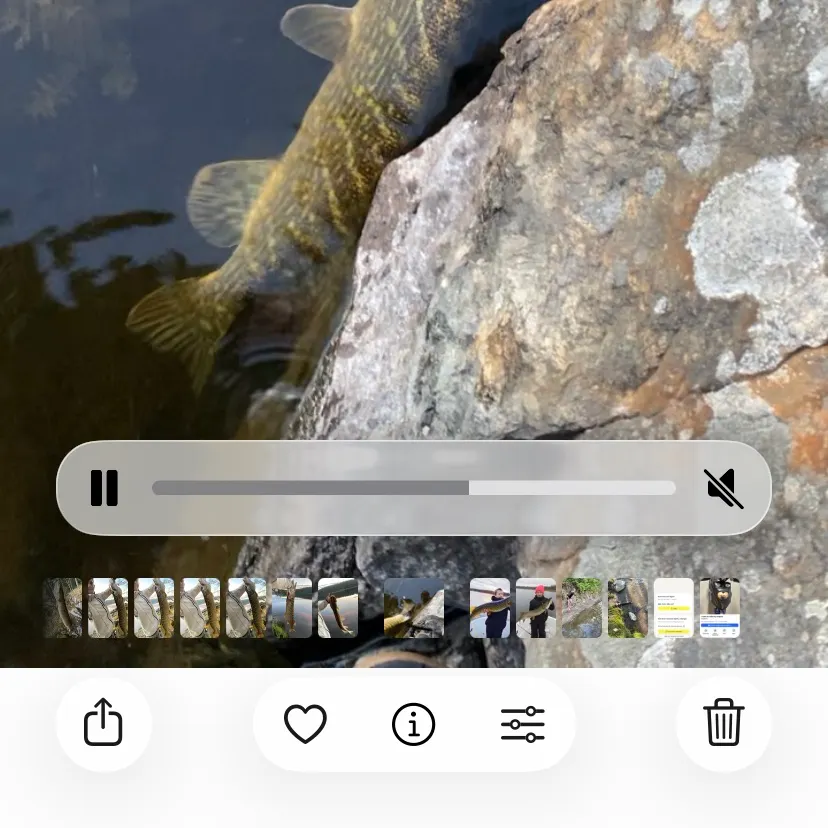 recently logged catches