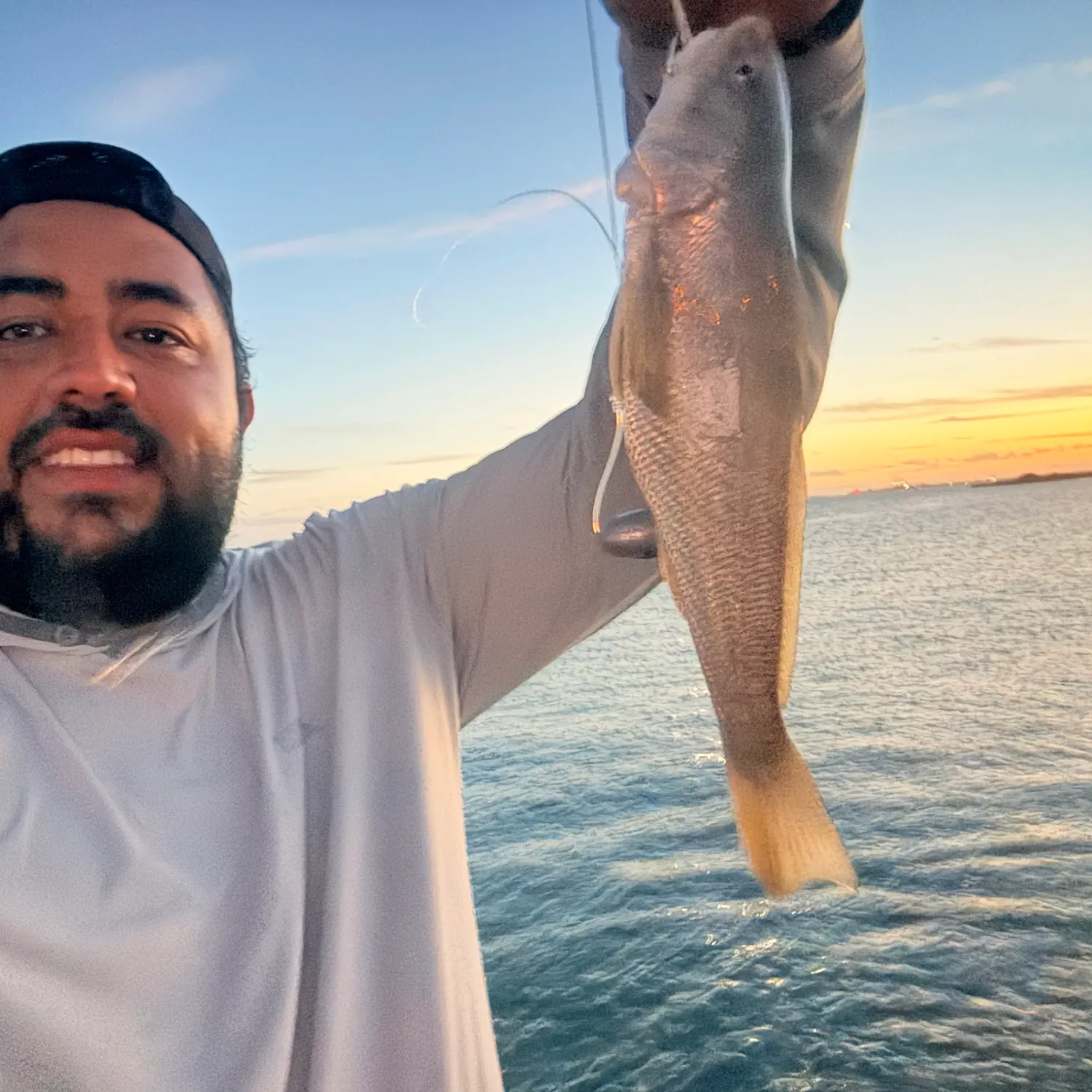 Southern kingcroaker caught on Fishbrain