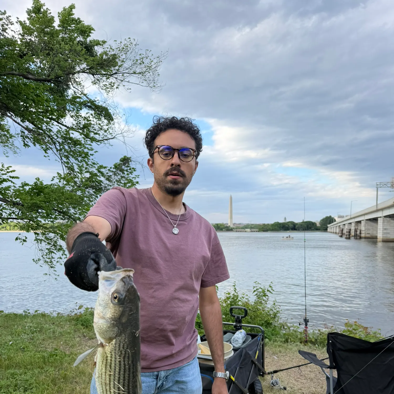 The most recent Striped bass catches on Fishbrain