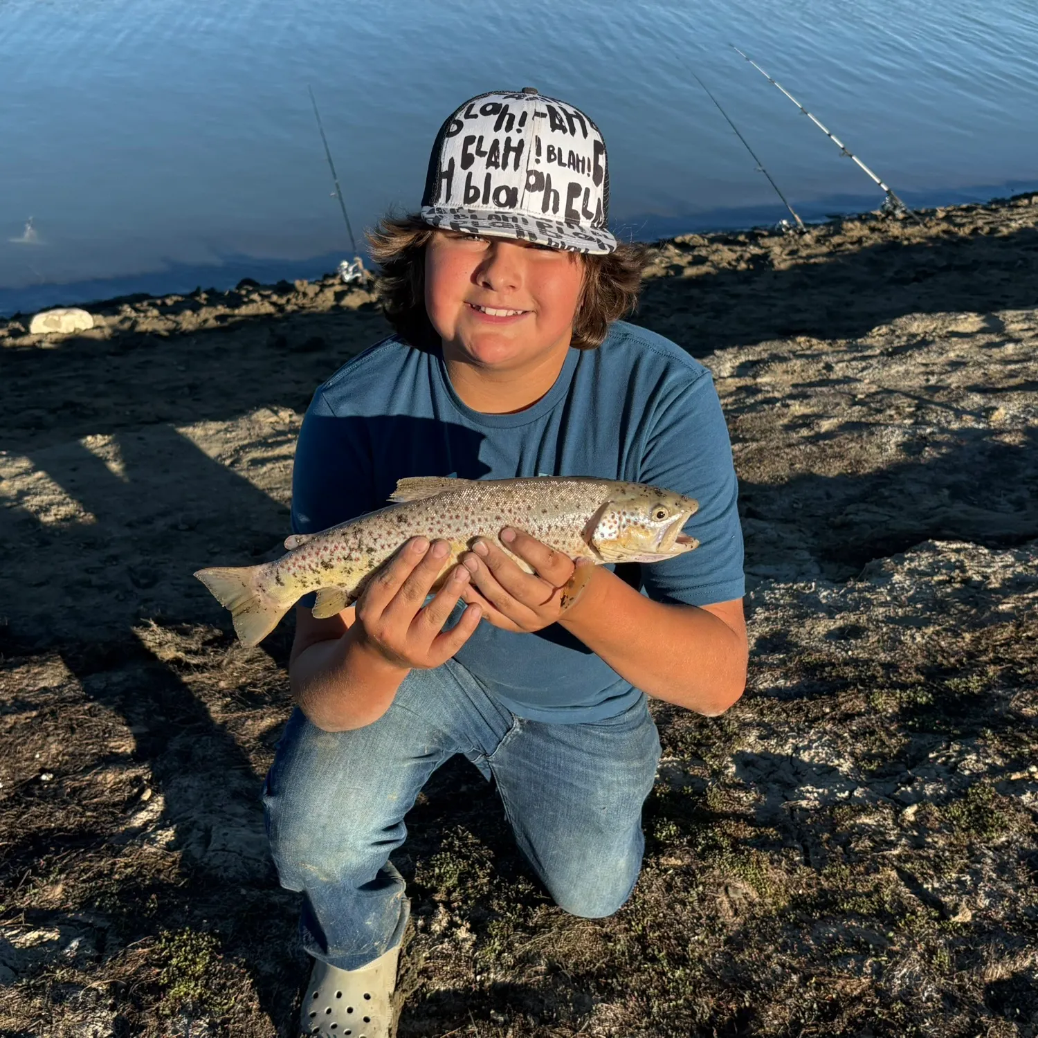 Brown trout caught on Fishbrain