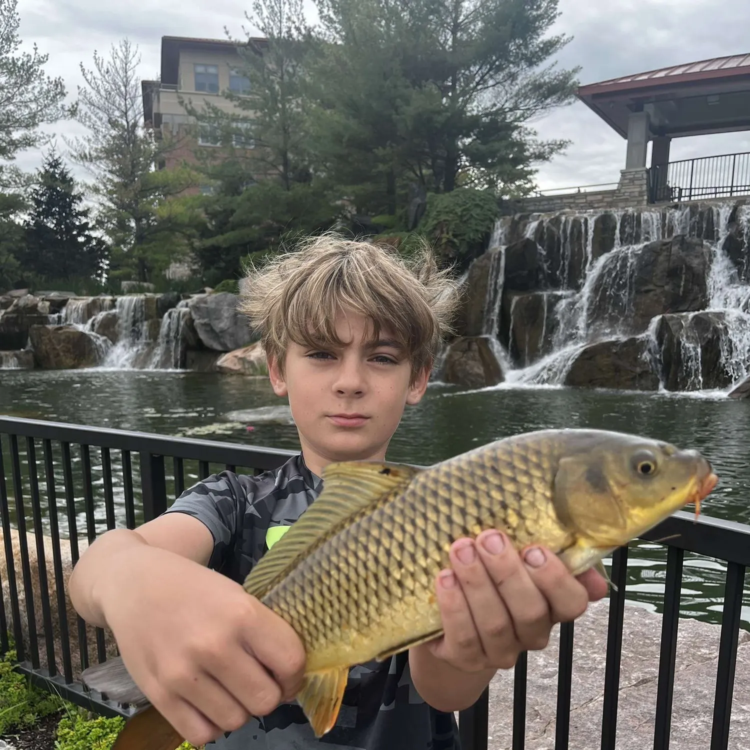 The most recent Common carp catches on Fishbrain