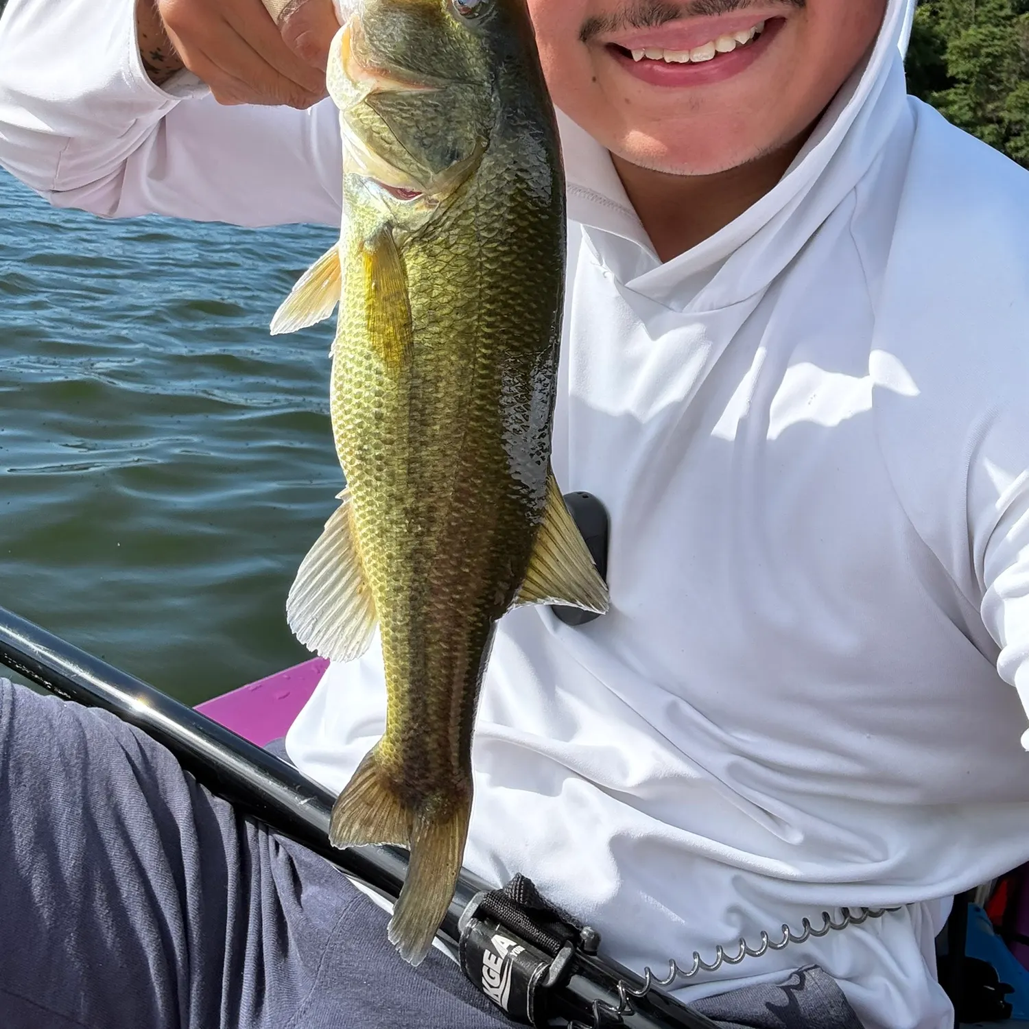 Largemouth bass caught on Fishbrain
