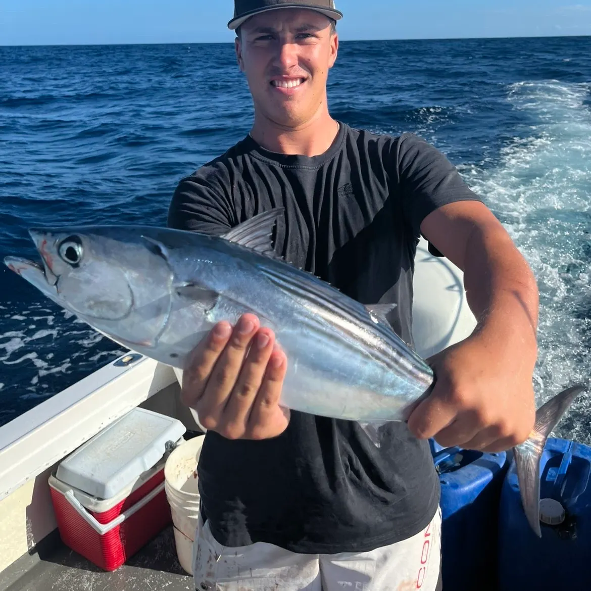 Skipjack tuna caught on Fishbrain