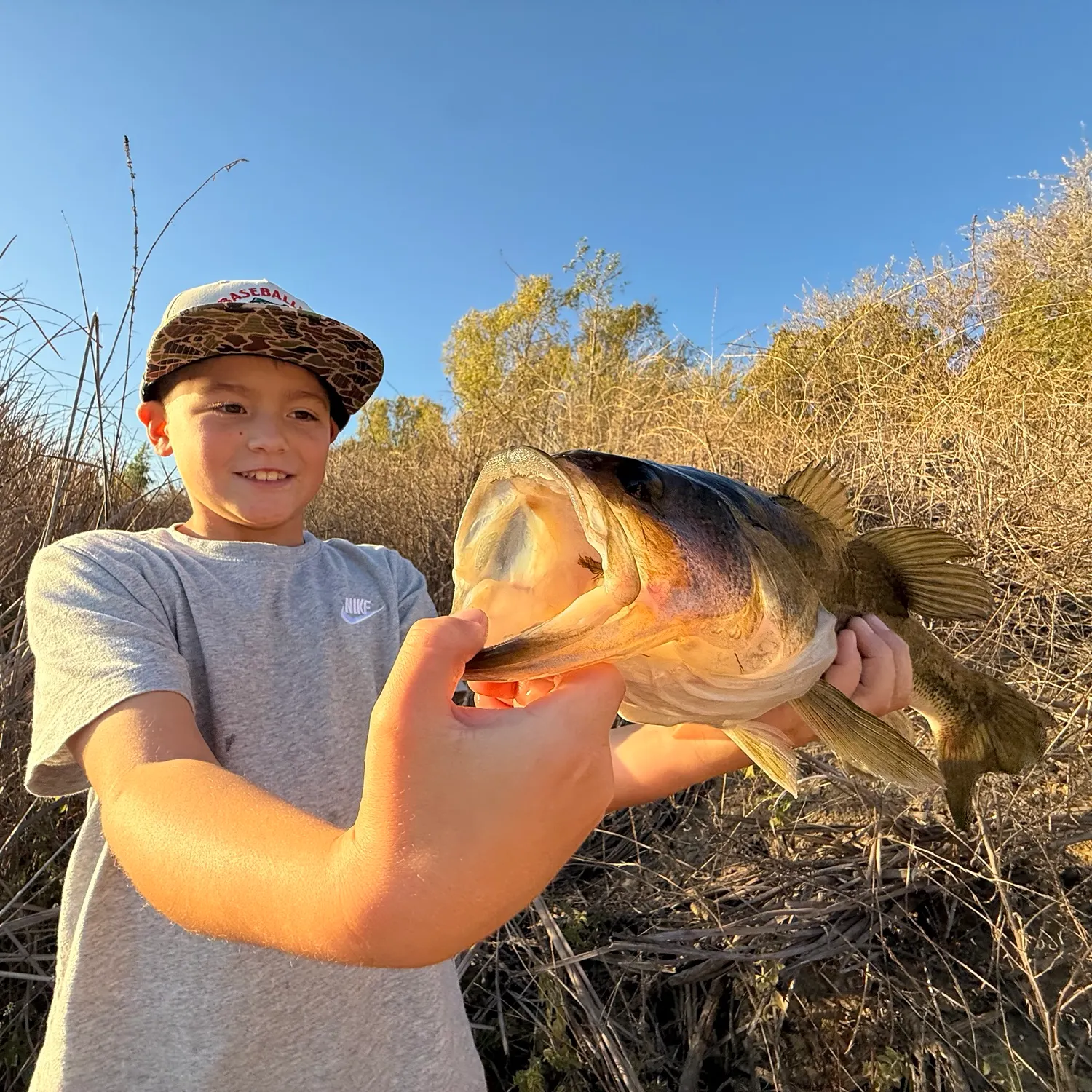 catch