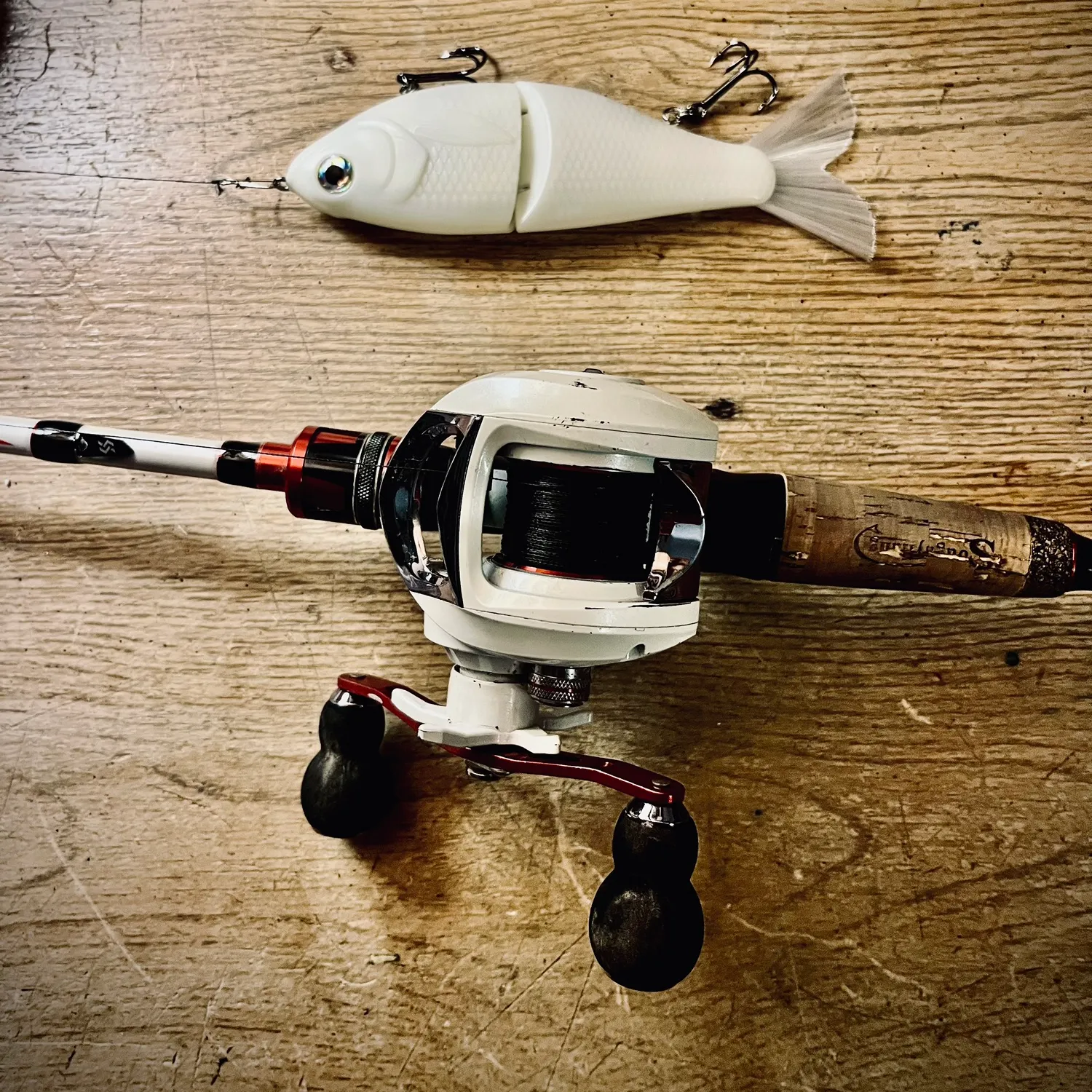 Rainbow trout caught on Fishbrain