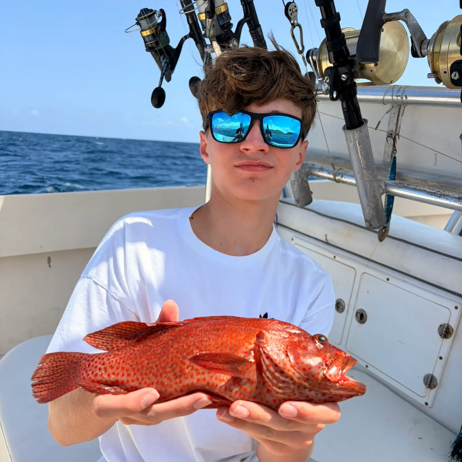 Red grouper caught on Fishbrain