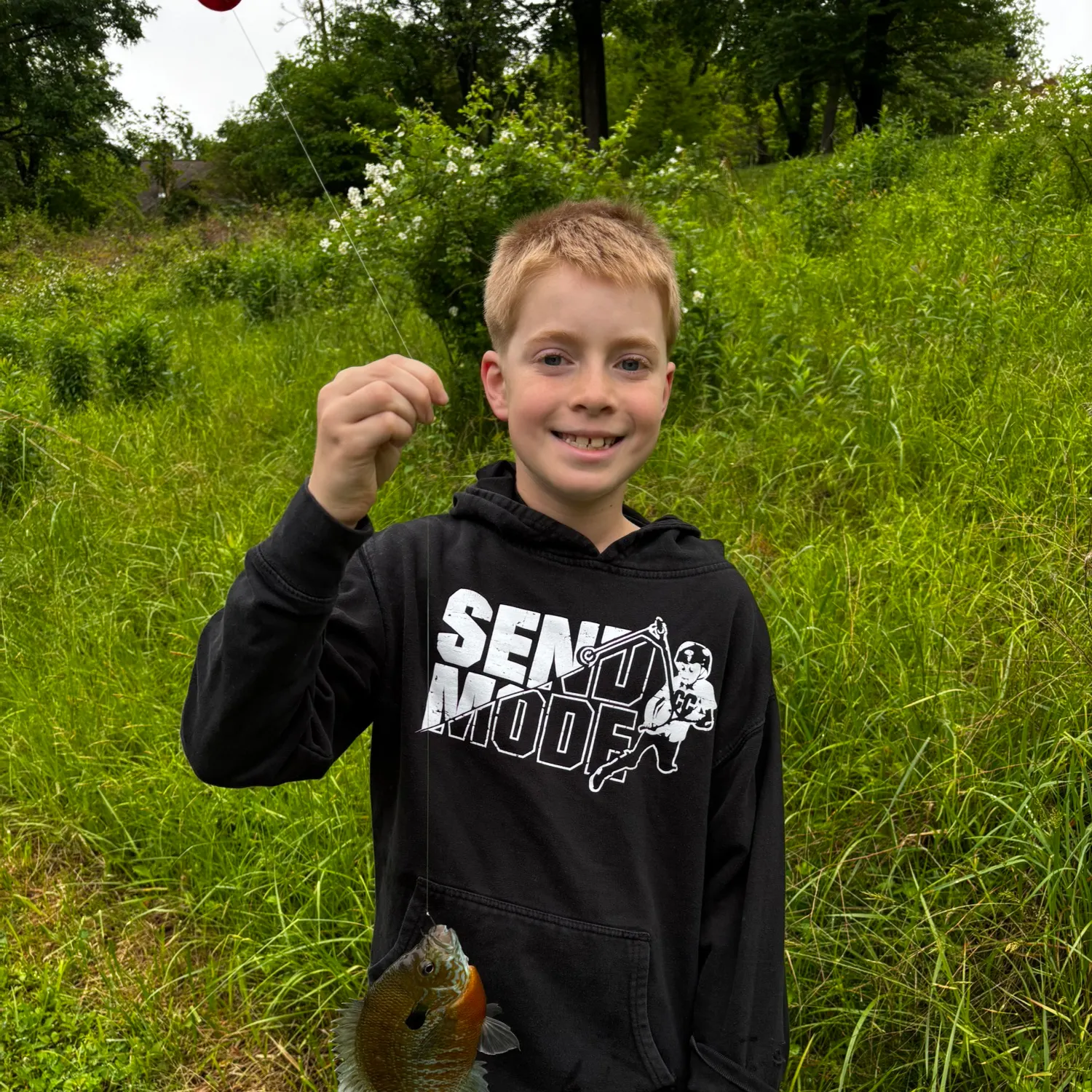 The most recent Redbreast sunfish x bluegill catches on Fishbrain