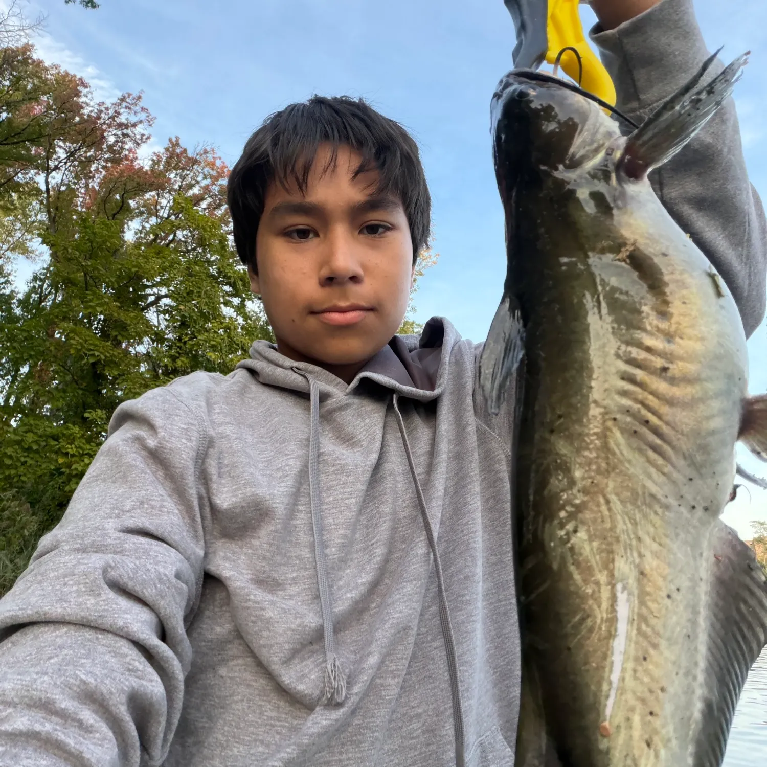 Channel catfish caught on Fishbrain