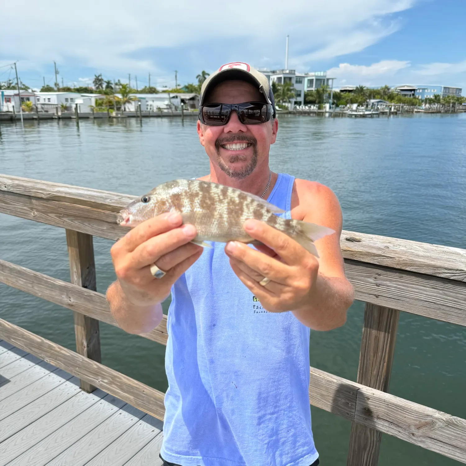 Pigfish caught on Fishbrain