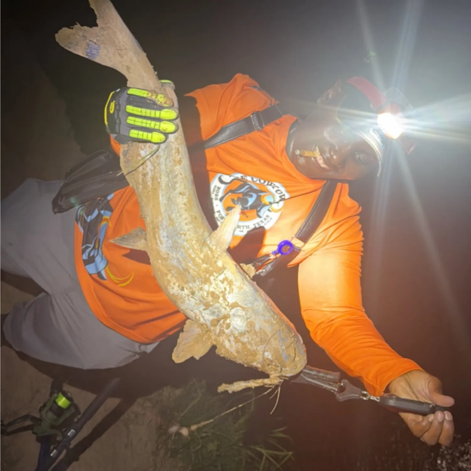 Channel catfish caught on Fishbrain