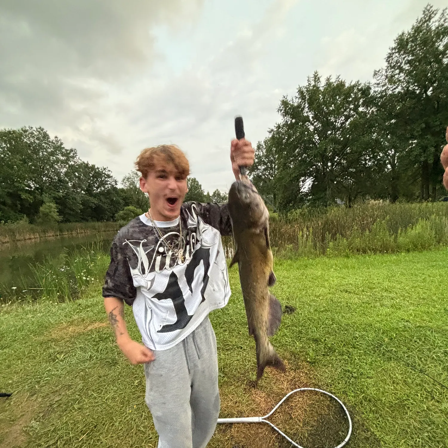 Channel catfish caught on Fishbrain
