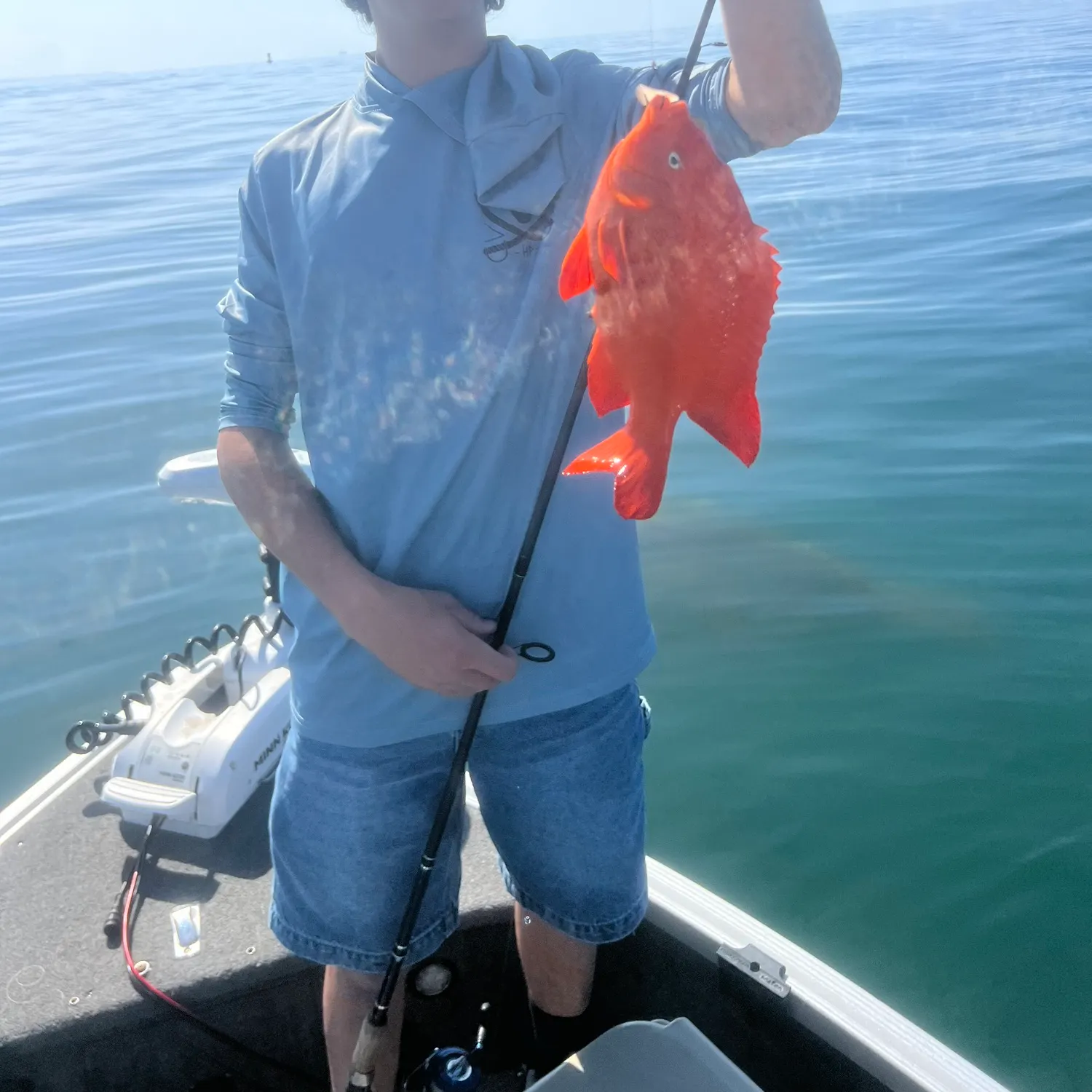 The most recent Garibaldi damselfish catches on Fishbrain