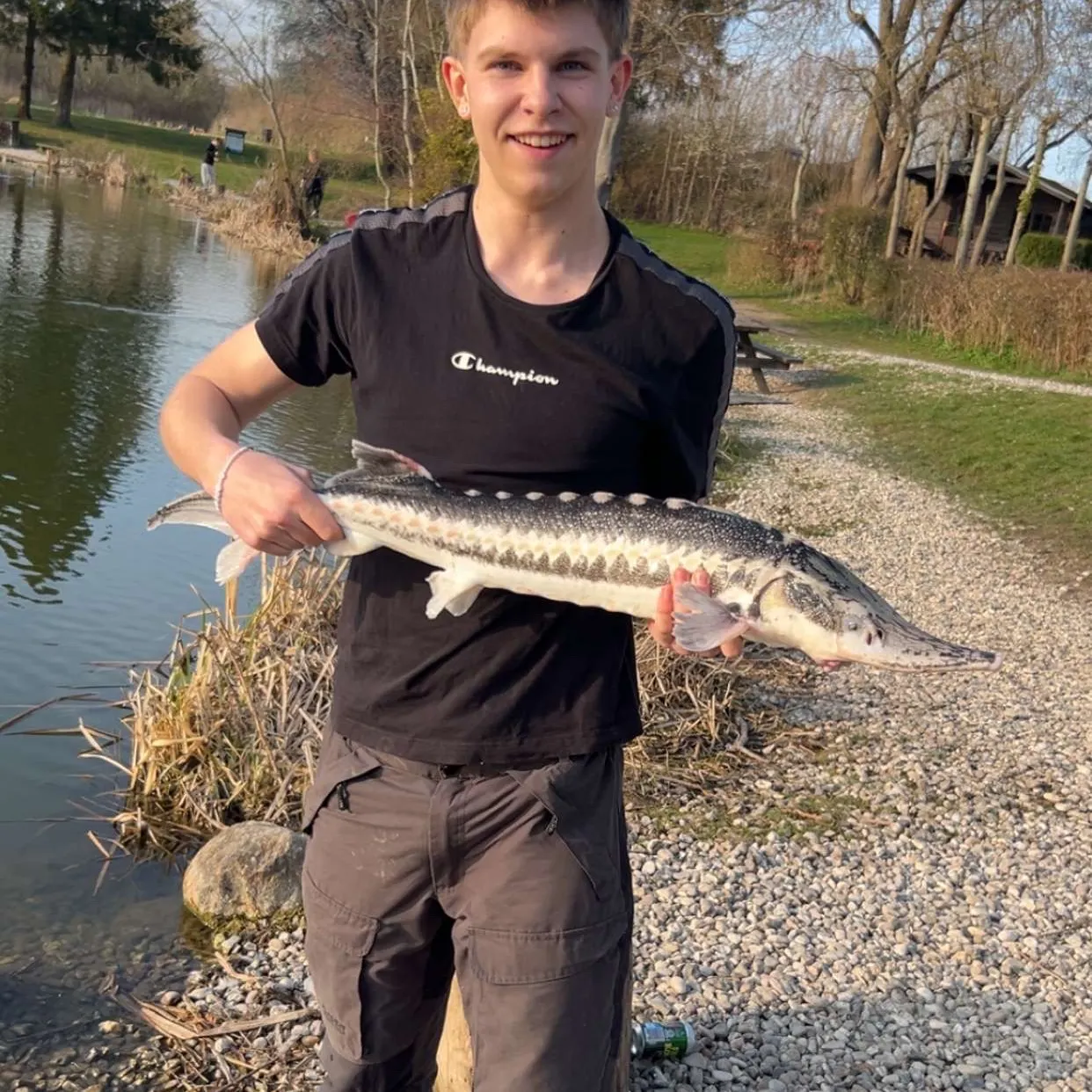The most recent Starry sturgeon catches on Fishbrain
