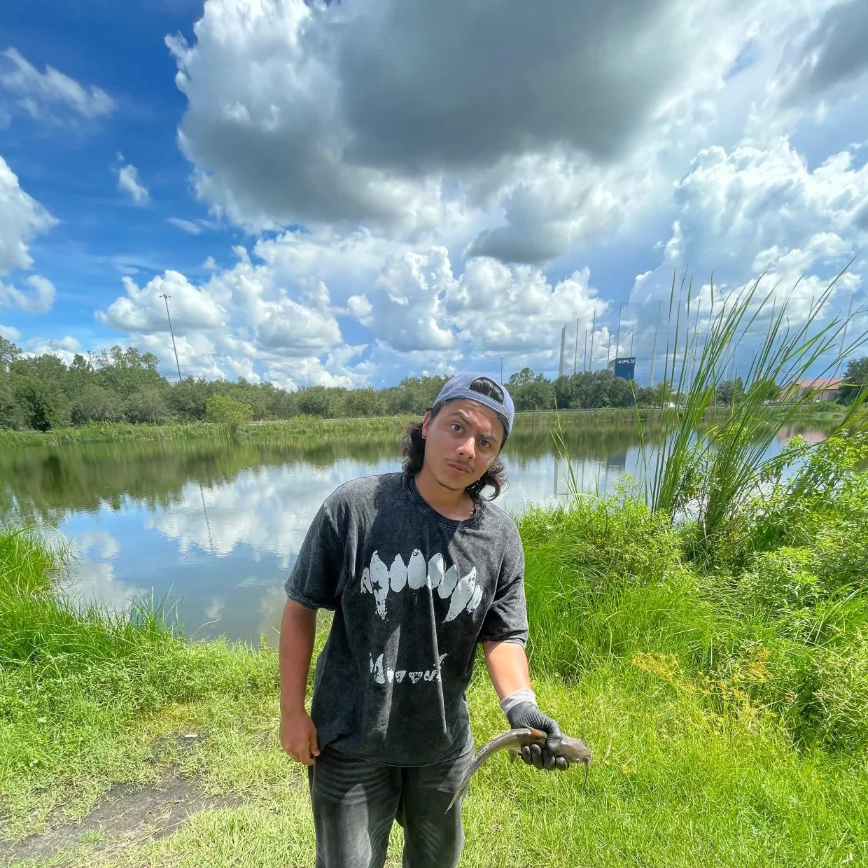 Channel catfish caught on Fishbrain