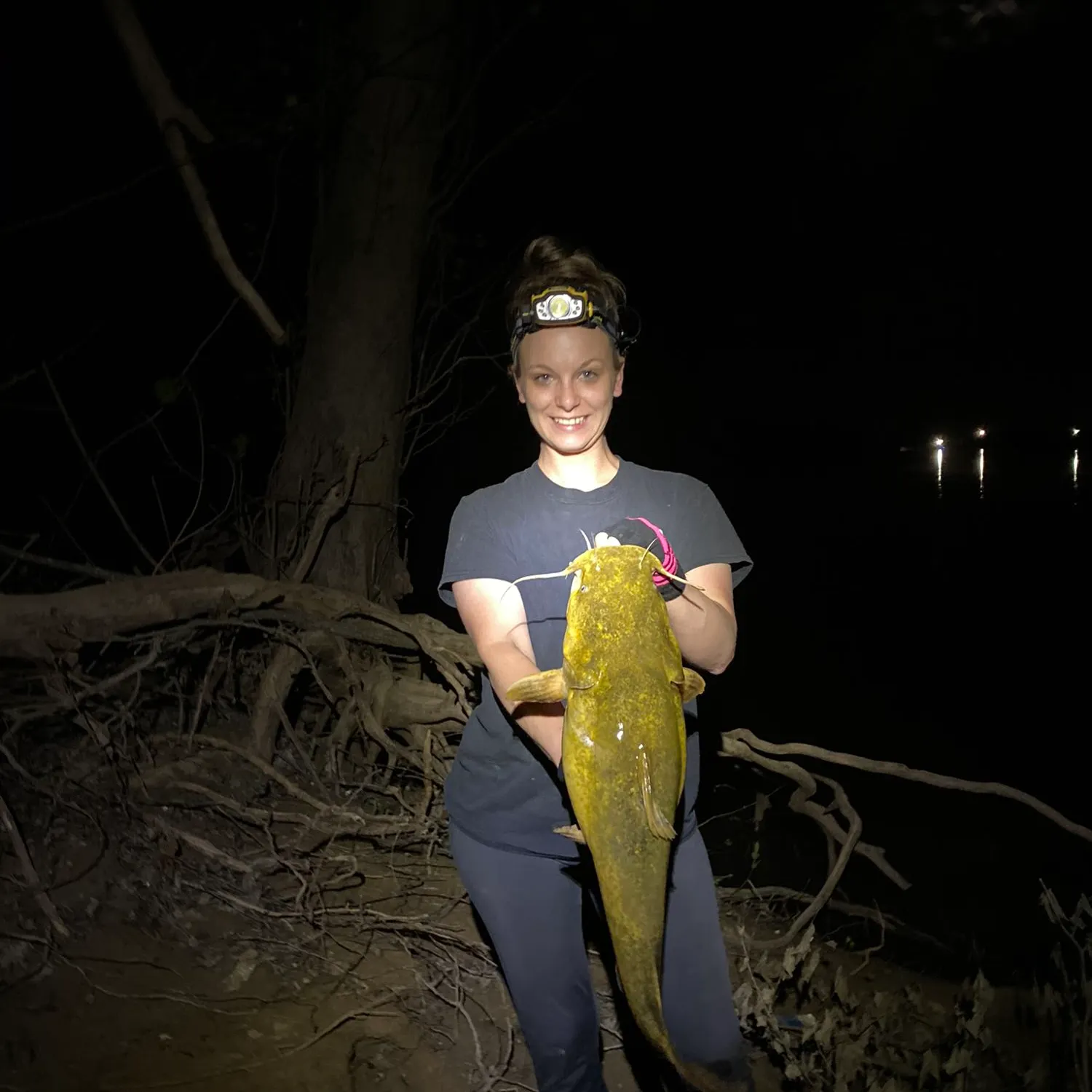Flathead catfish caught on Fishbrain