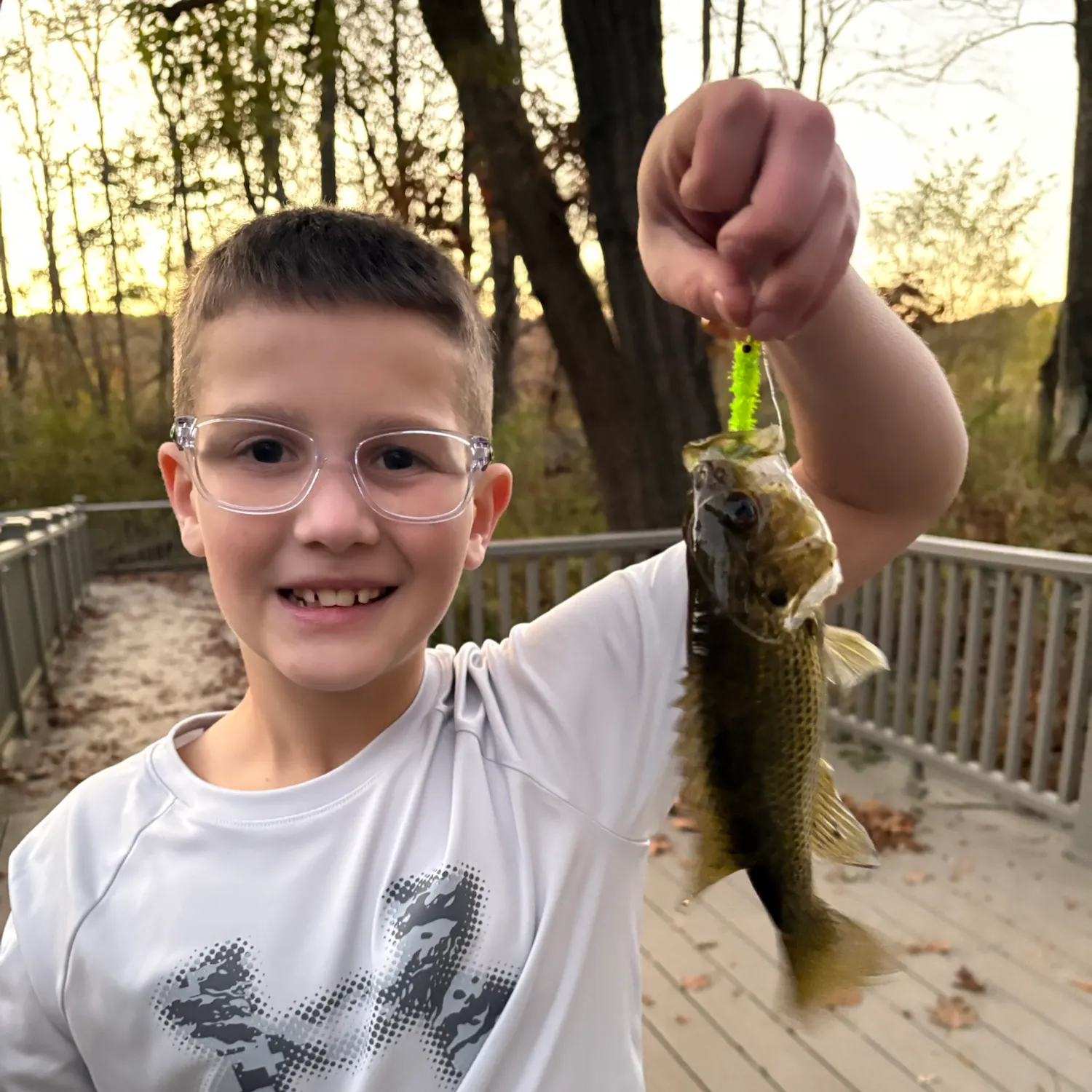 Rock bass caught on Fishbrain