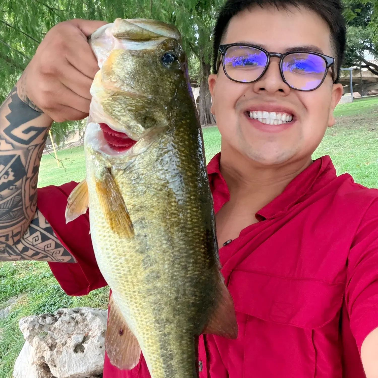 Largemouth bass caught on Fishbrain