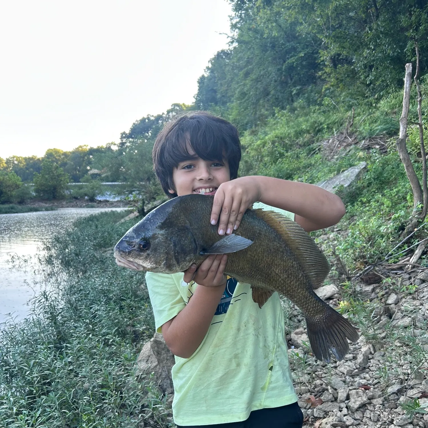 Freshwater drum caught on Fishbrain