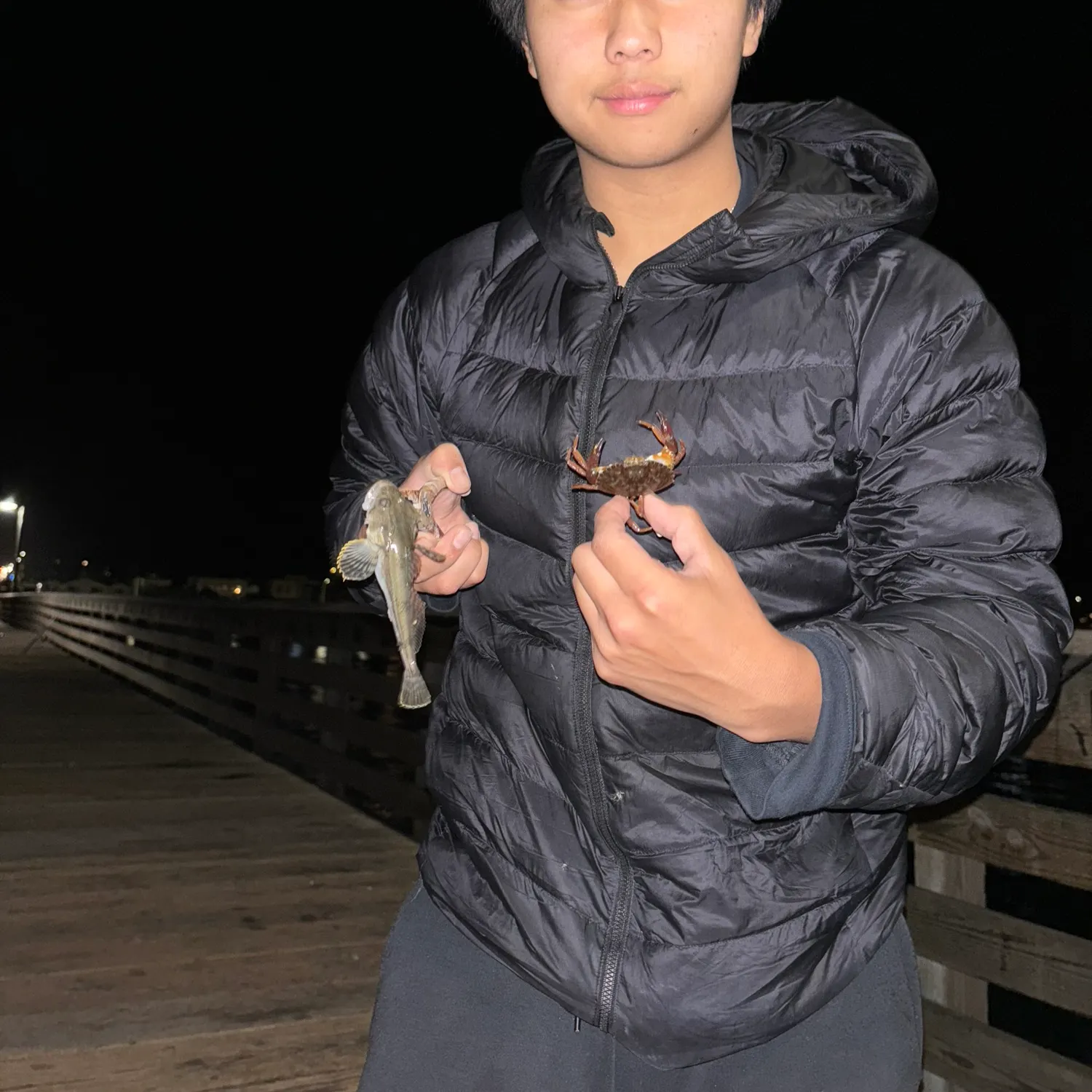 The most recent Graceful rock crab catches on Fishbrain