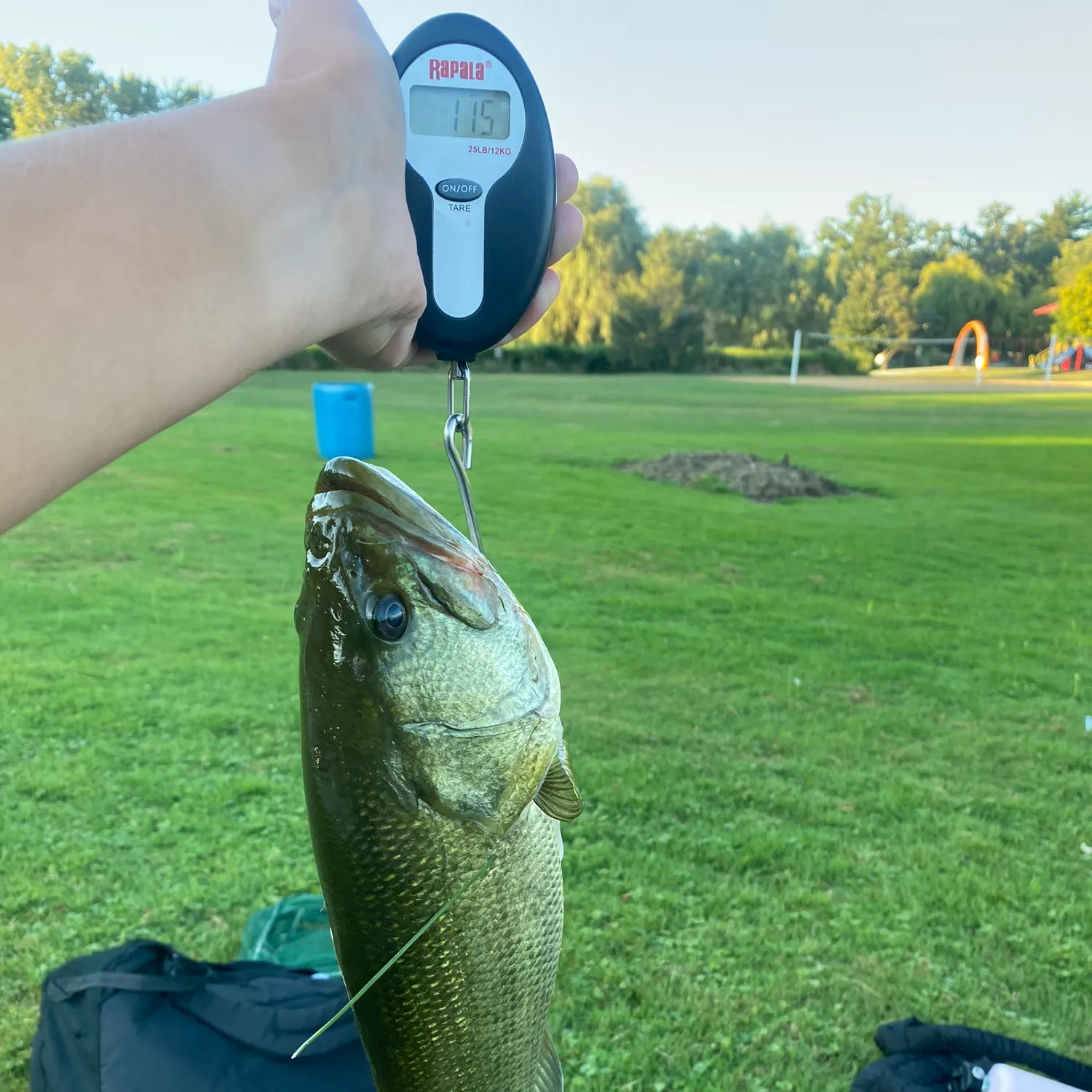 angler catch