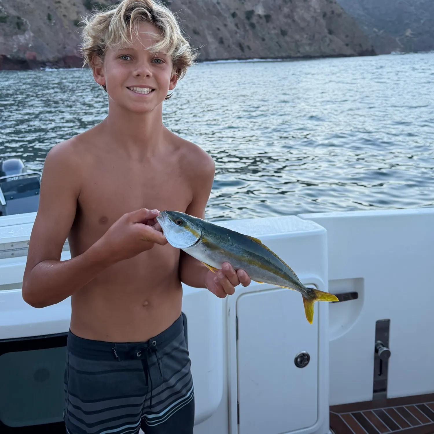 California yellowtail amberjack caught on Fishbrain