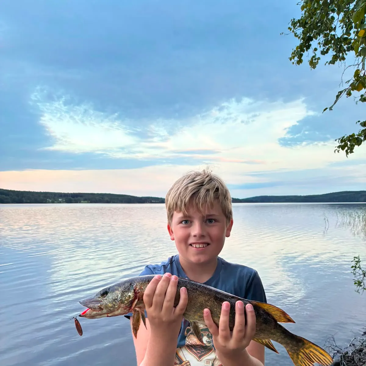Northern pike caught on Fishbrain