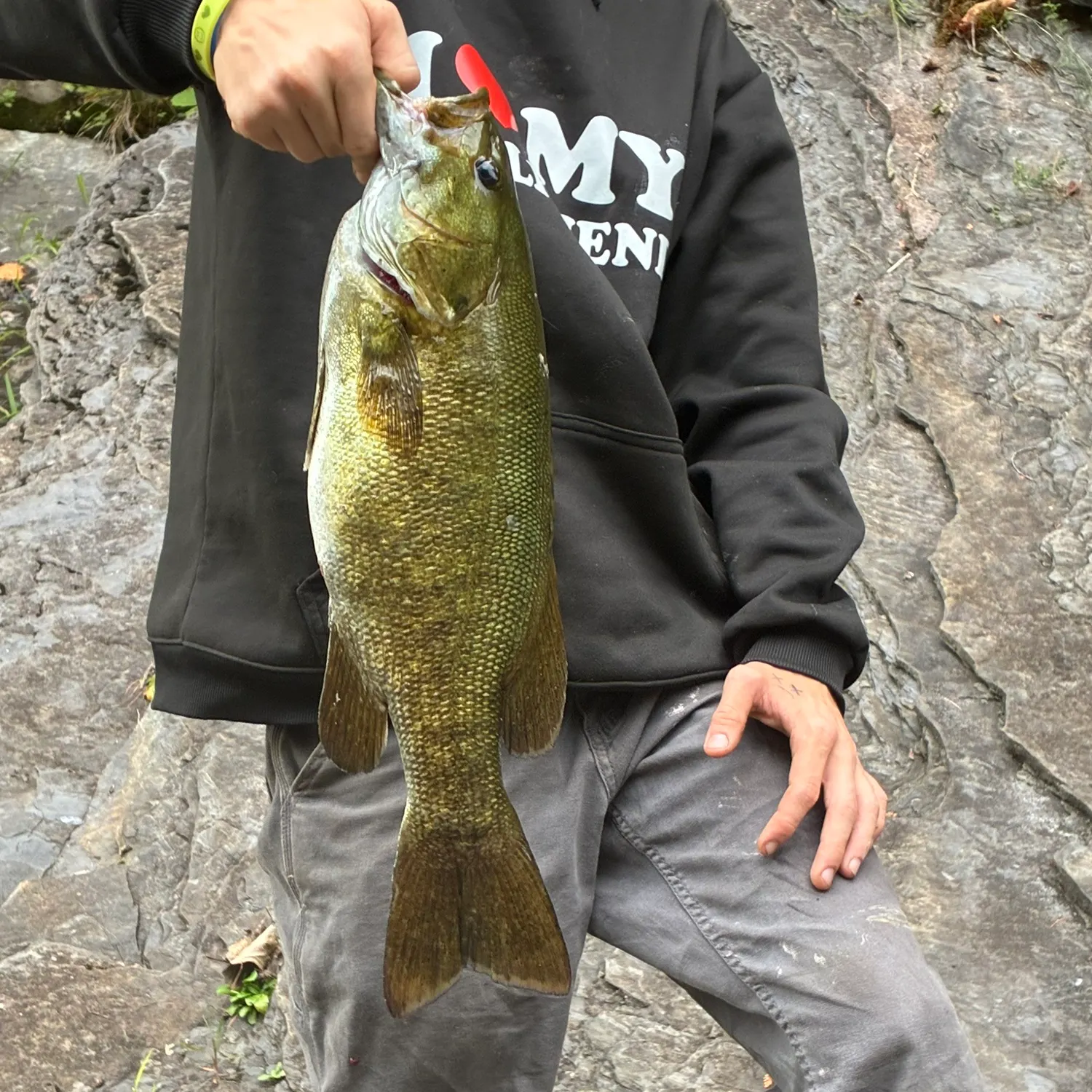 Smallmouth bass caught on Fishbrain