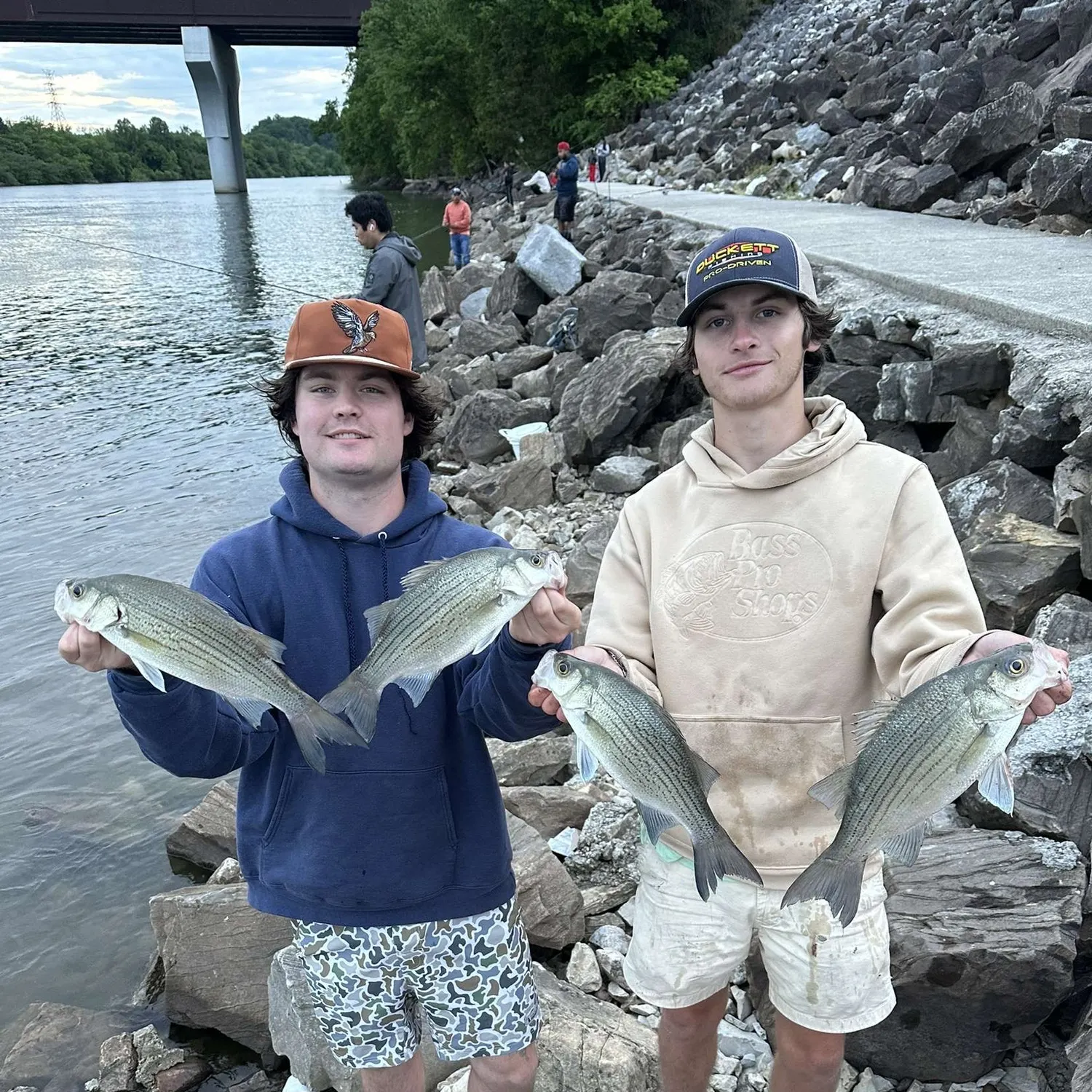 recently logged catches