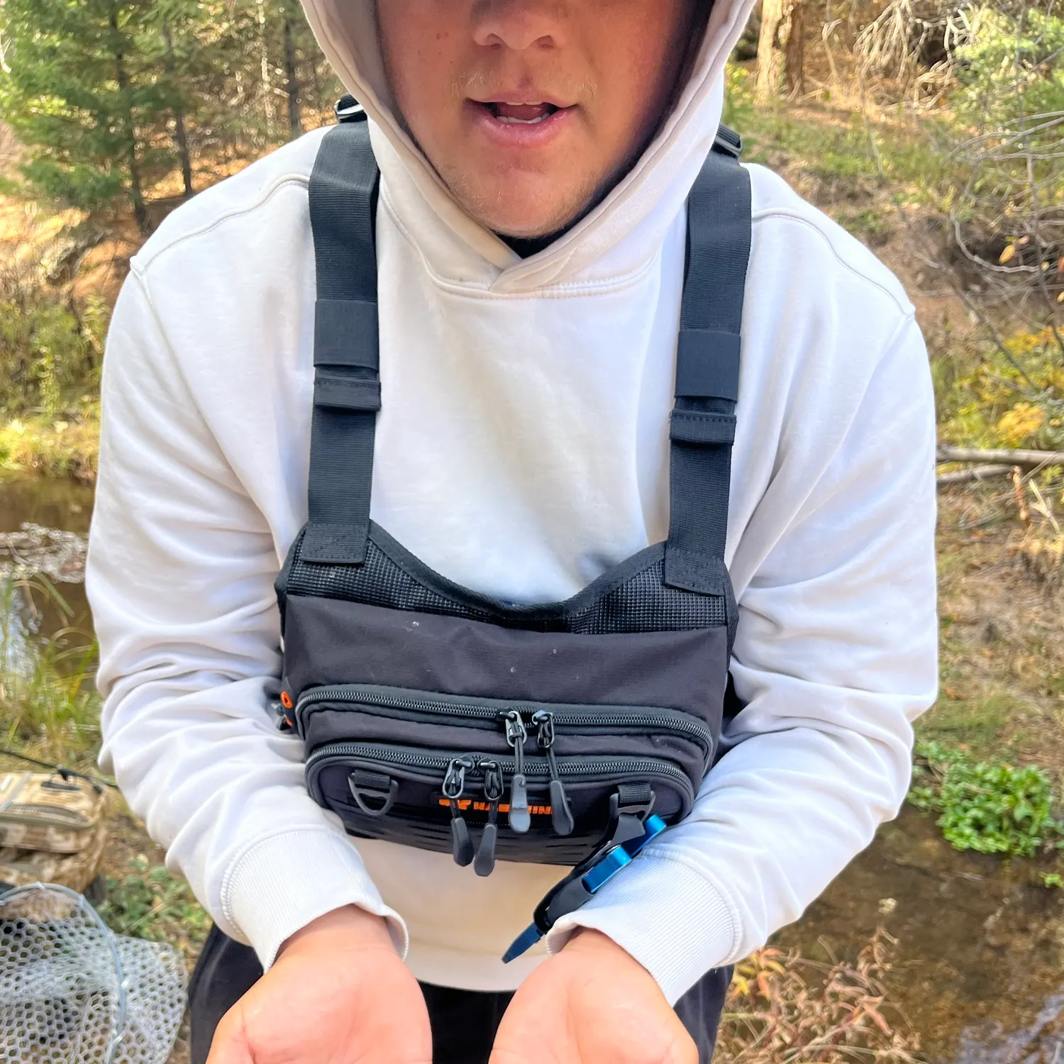 Brook trout caught on Fishbrain