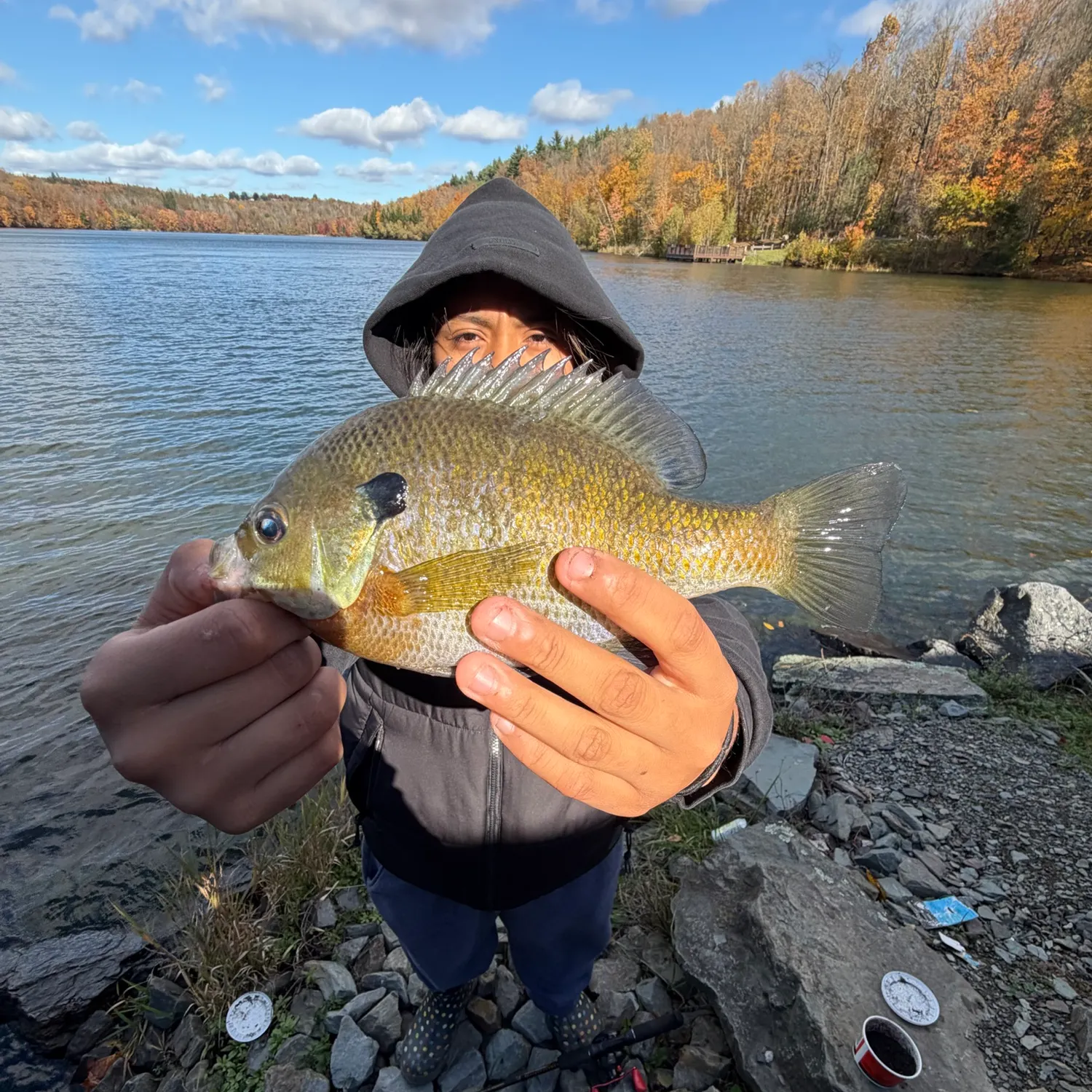 Bluegill caught on Fishbrain