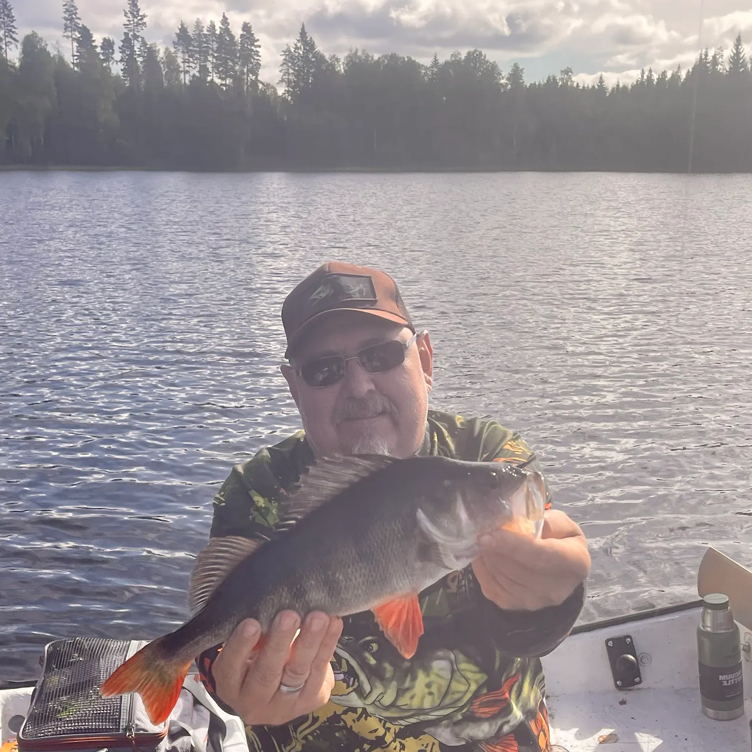 European perch caught on Fishbrain