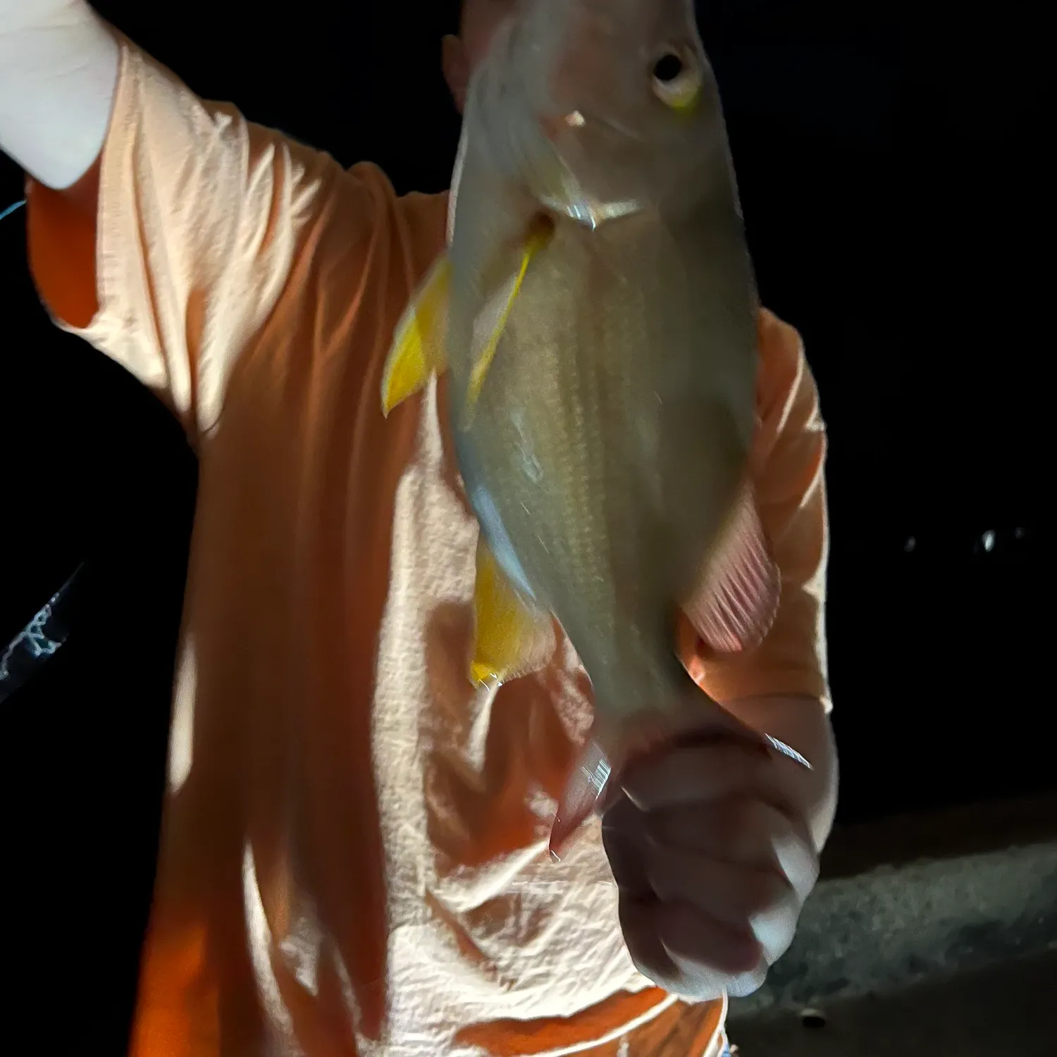 The most recent Guinean pompano catches on Fishbrain