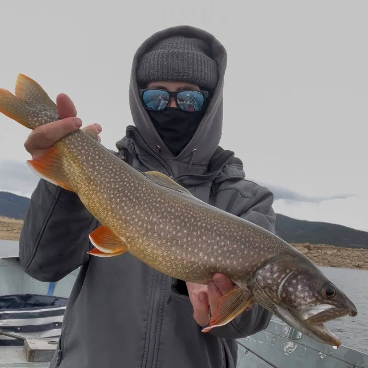 Lake char caught on Fishbrain