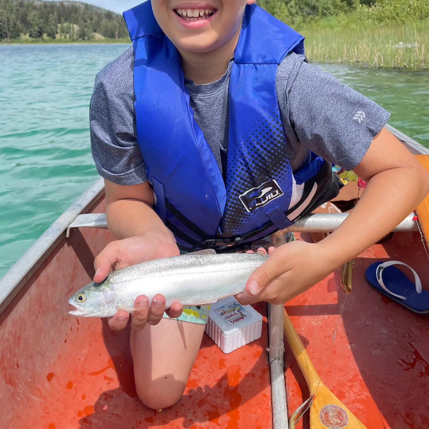 The most recent Kokanee salmon catches on Fishbrain