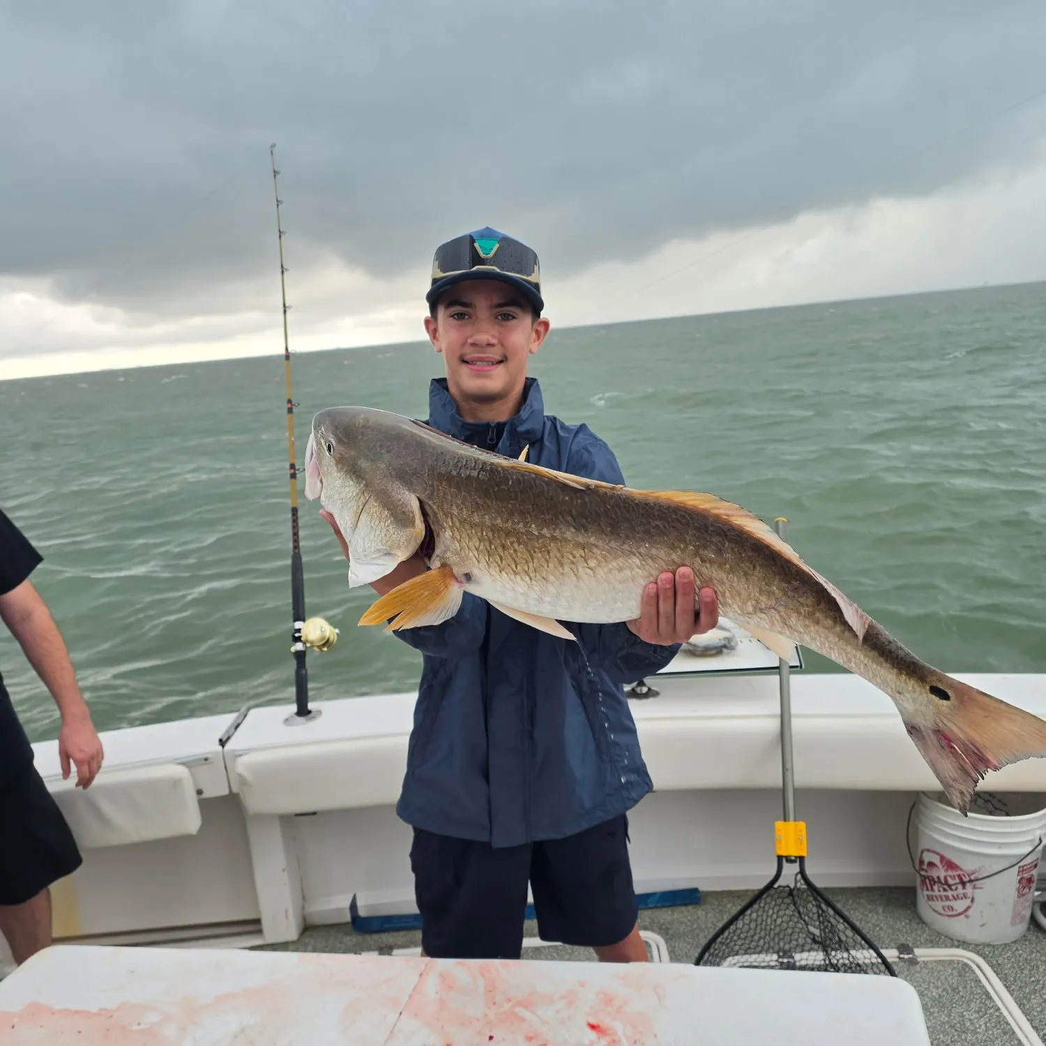 Red drum caught on Fishbrain