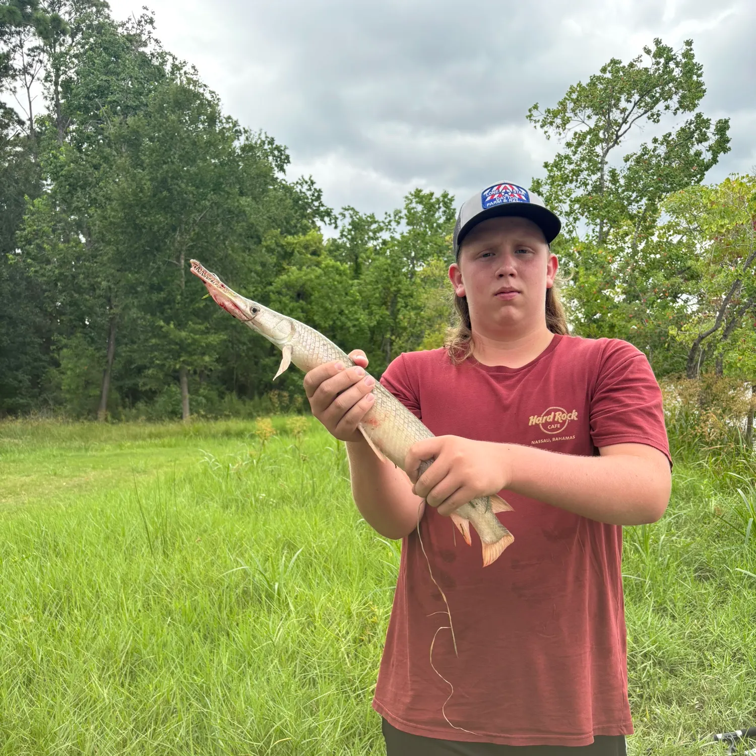 The most recent Alligator gar catches on Fishbrain