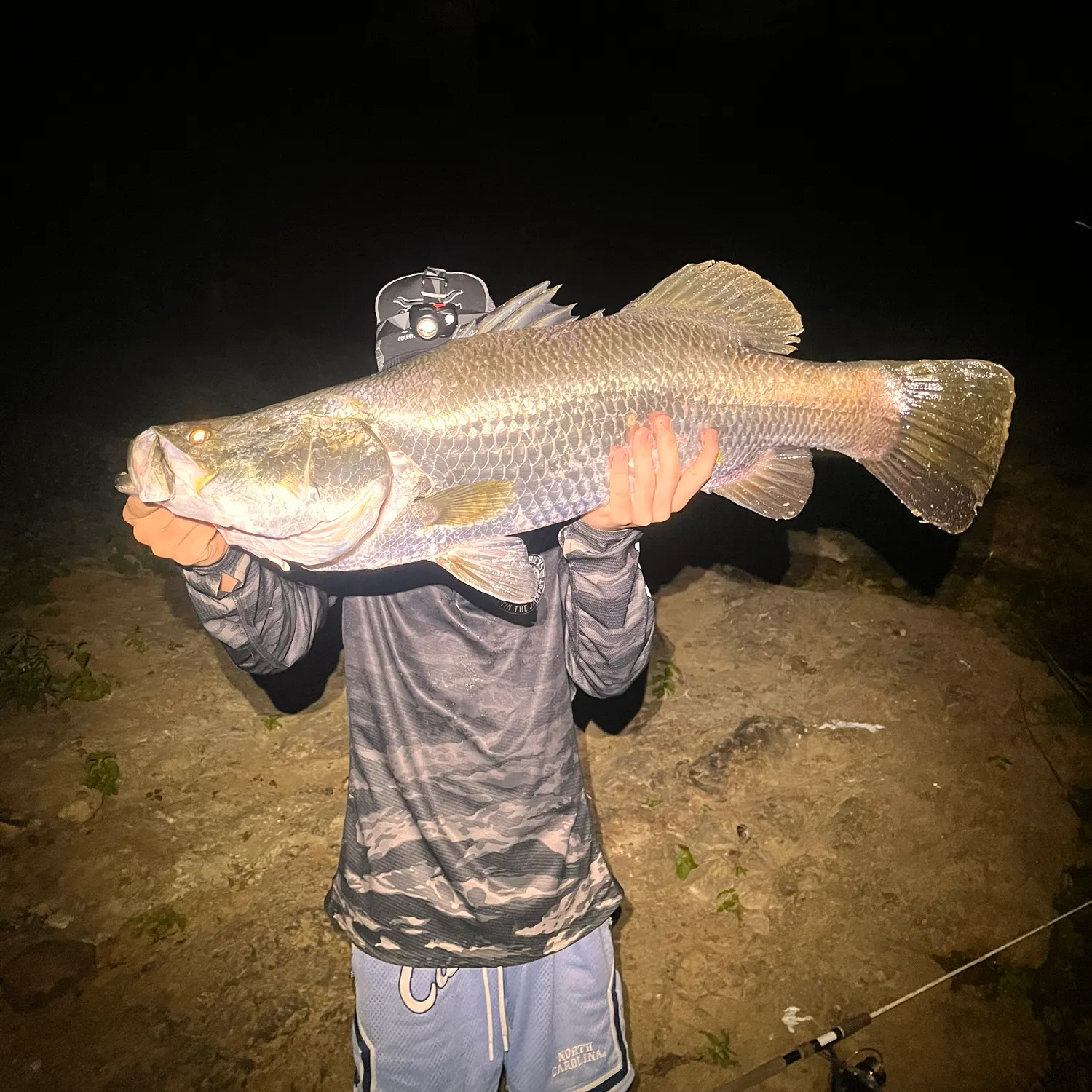 The most recent Barramundi catches on Fishbrain