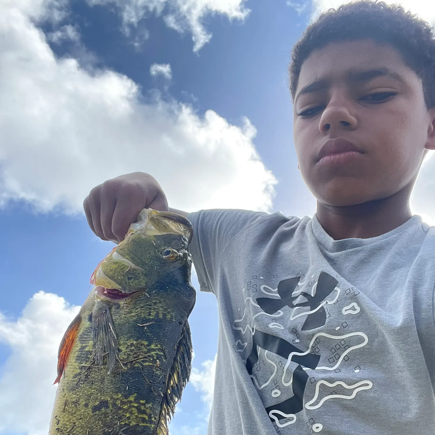 The most recent Butterfly peacock bass catches on Fishbrain