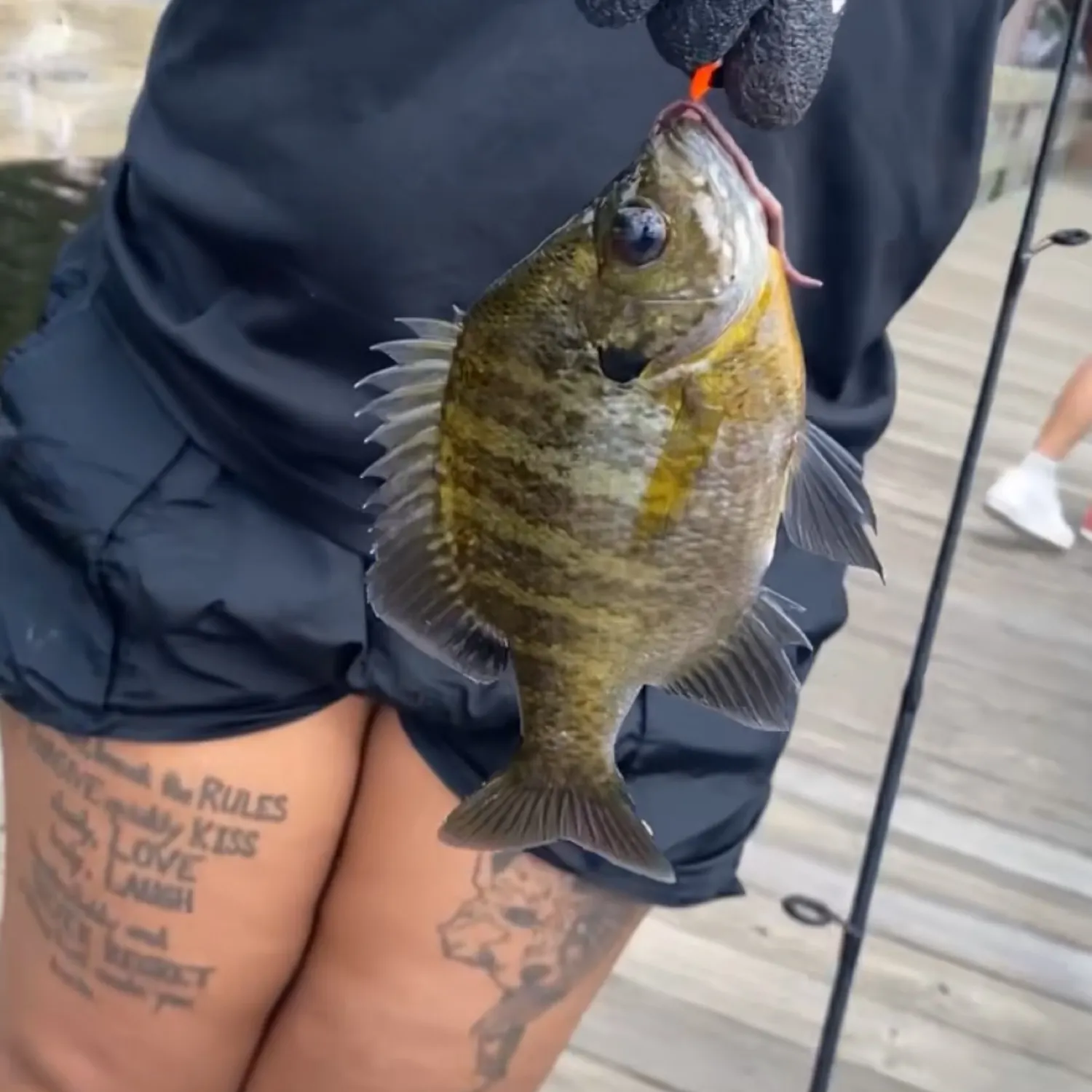 recently logged catches