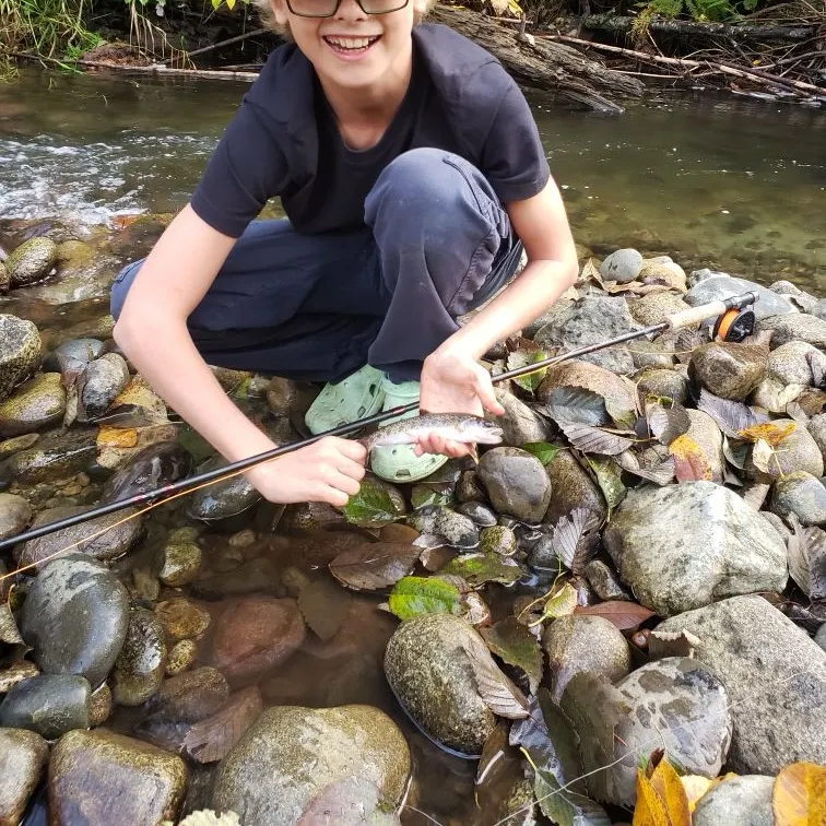 Cutbow caught on Fishbrain