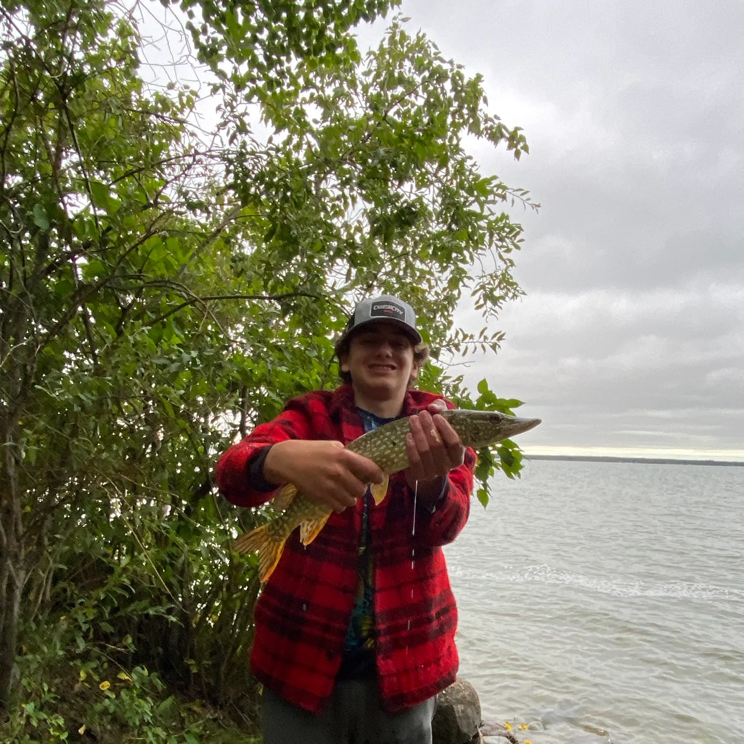 Northern pike caught on Fishbrain