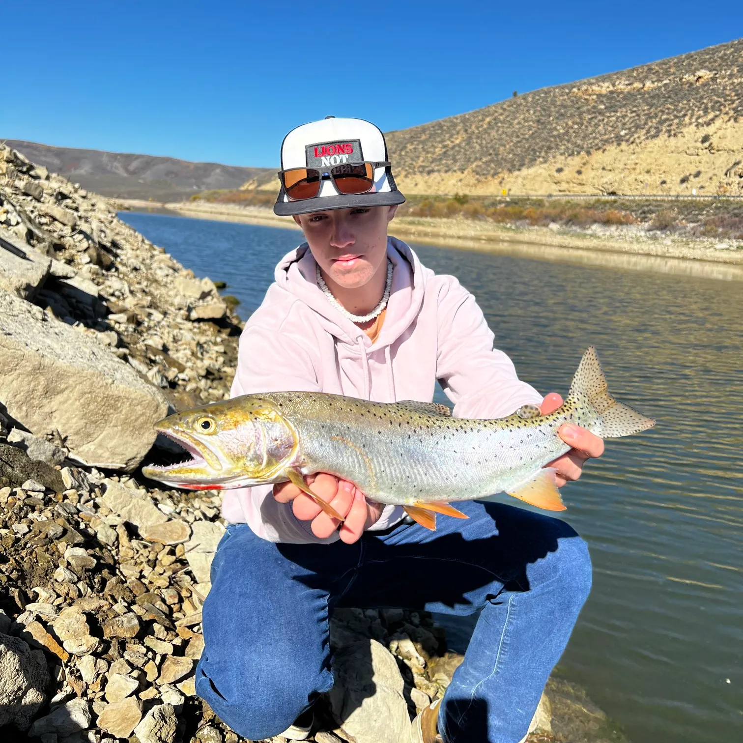 Bear Lake cutthroat trout caught on Fishbrain