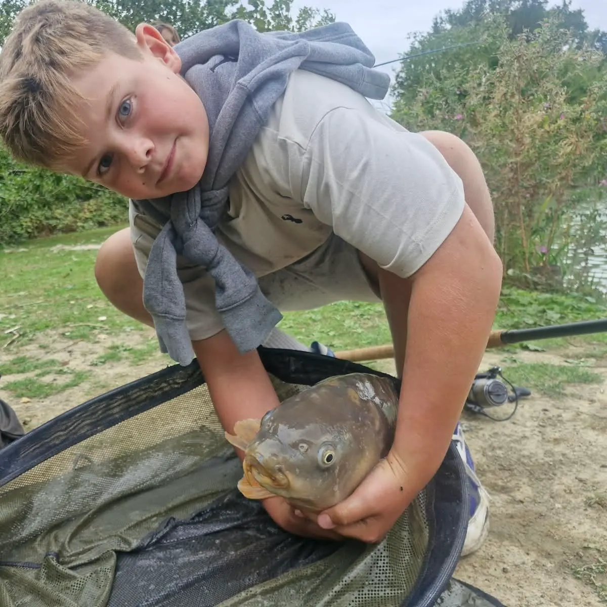 Common carp caught on Fishbrain