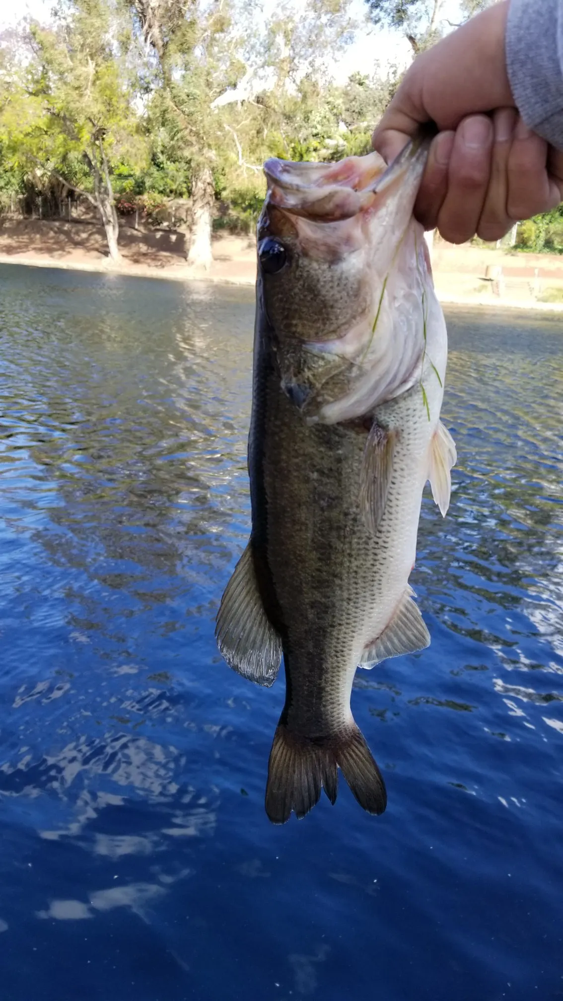 Post image from fvaladez4170