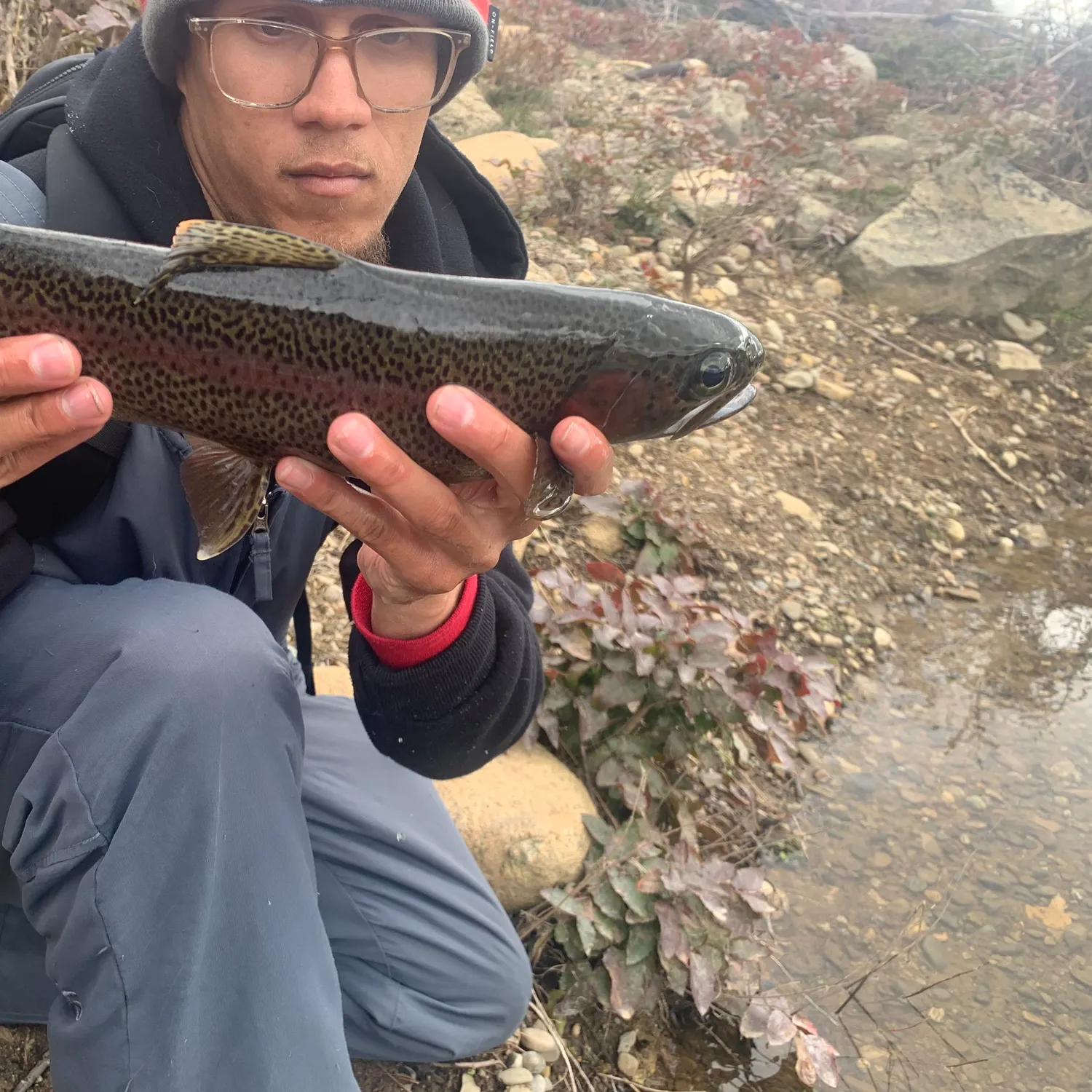 The most recent Great basin redband trout catches on Fishbrain